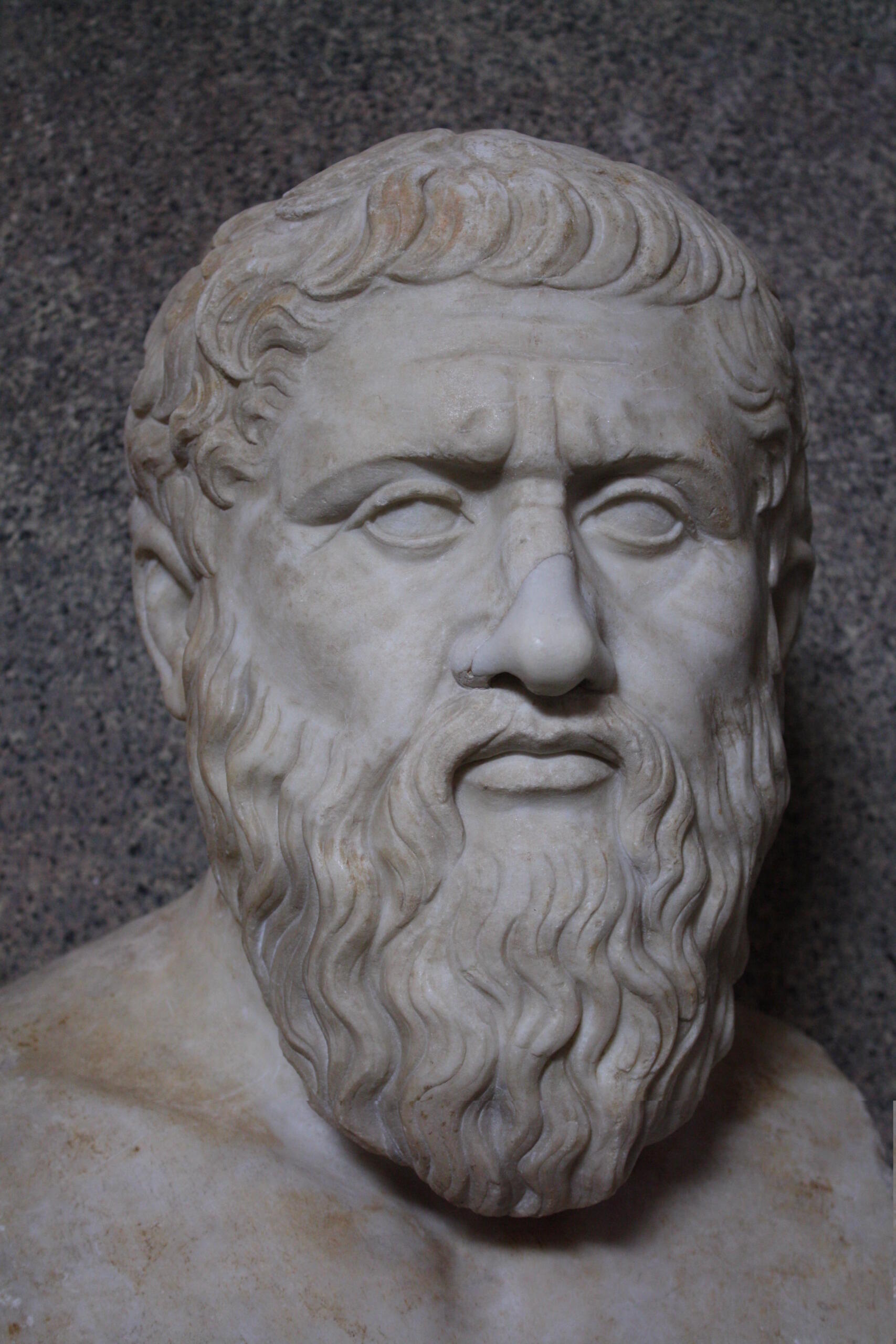 A marble bust depicting a historical figure with flowing curly hair and a detailed beard, set against a textured stone background.