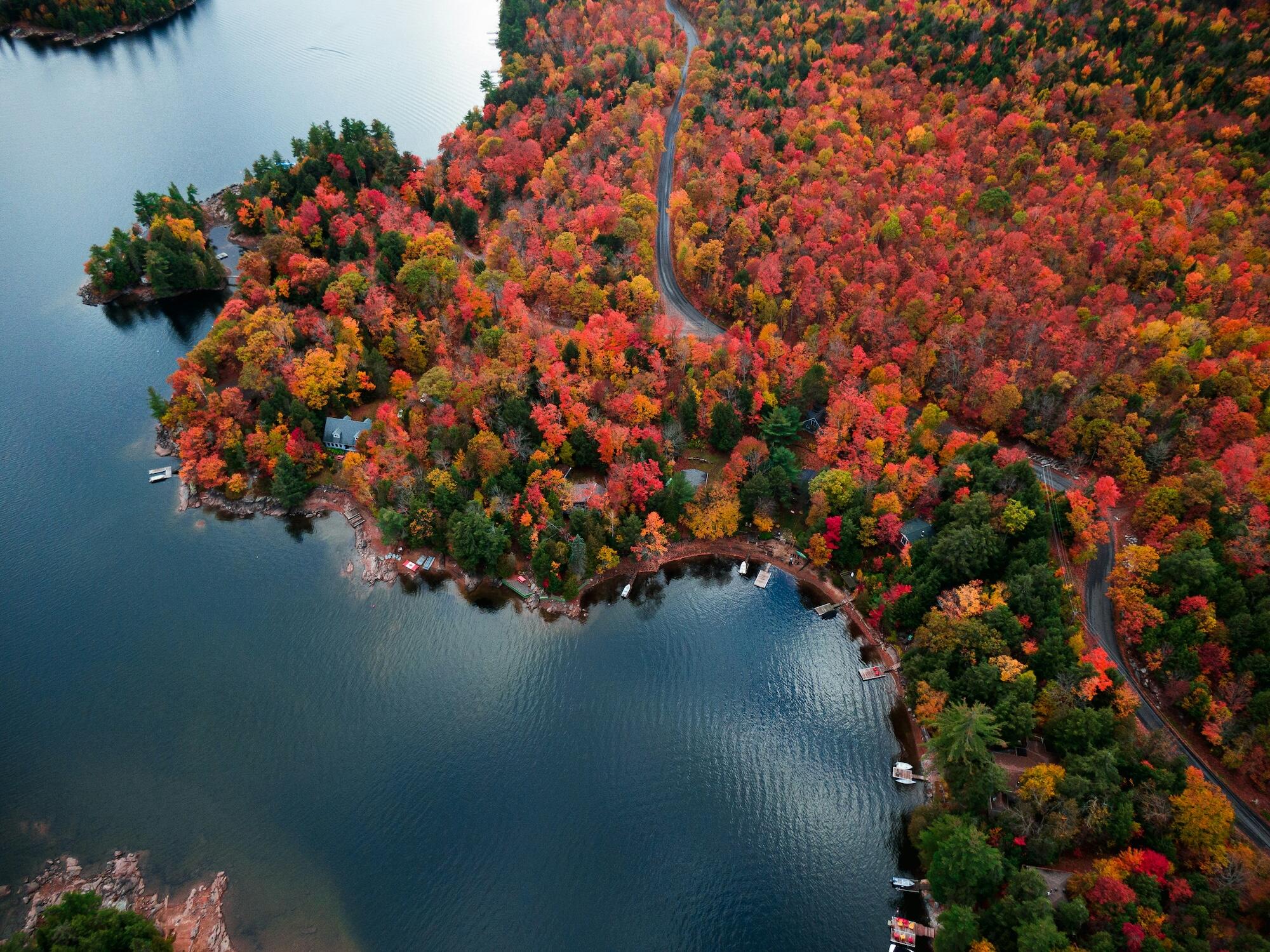 Aerial view of colorful autumn foliage surrounding a calm lake, with a winding road and small docks along the water's edge.