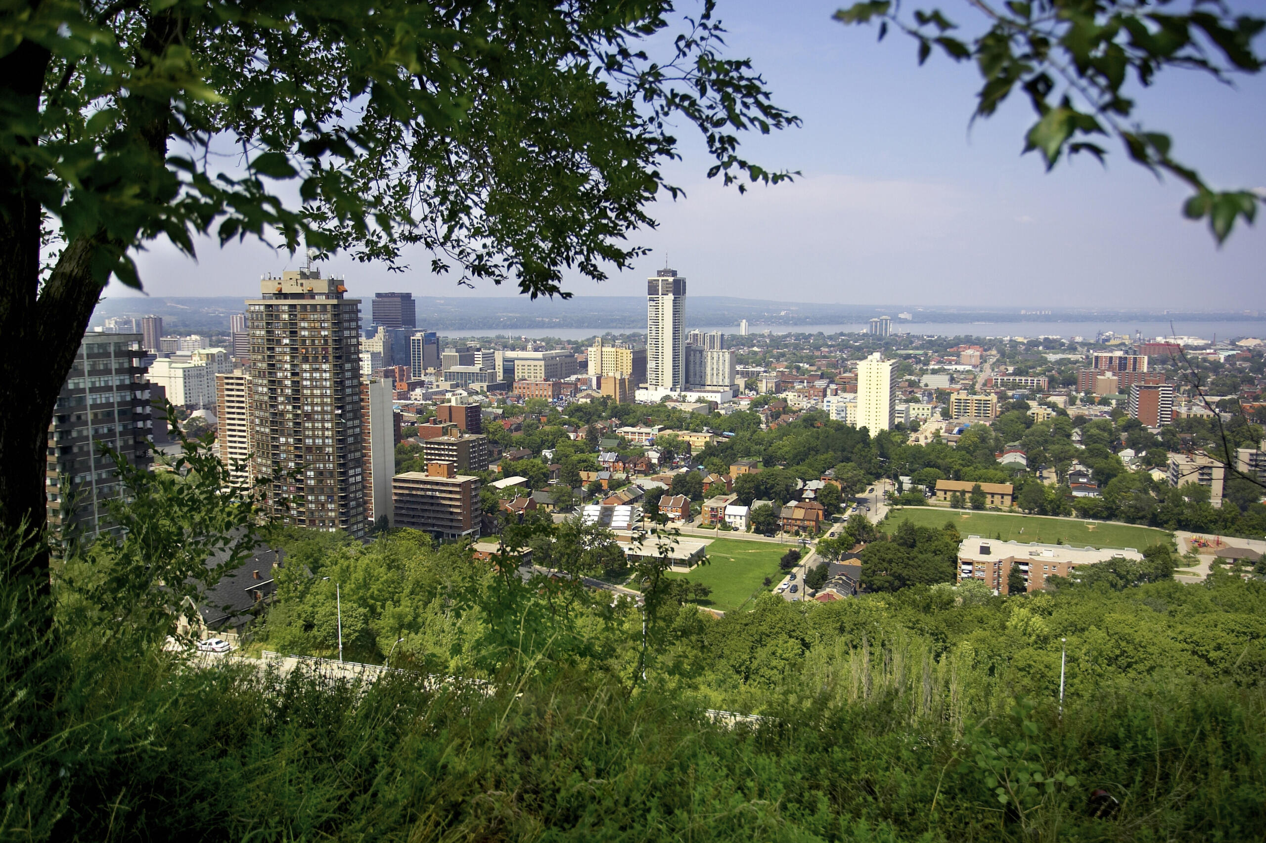 A panoramic view of a city skyline framed by greenery, showcasing high-rise buildings and a vibrant urban area under a clear blue sky.