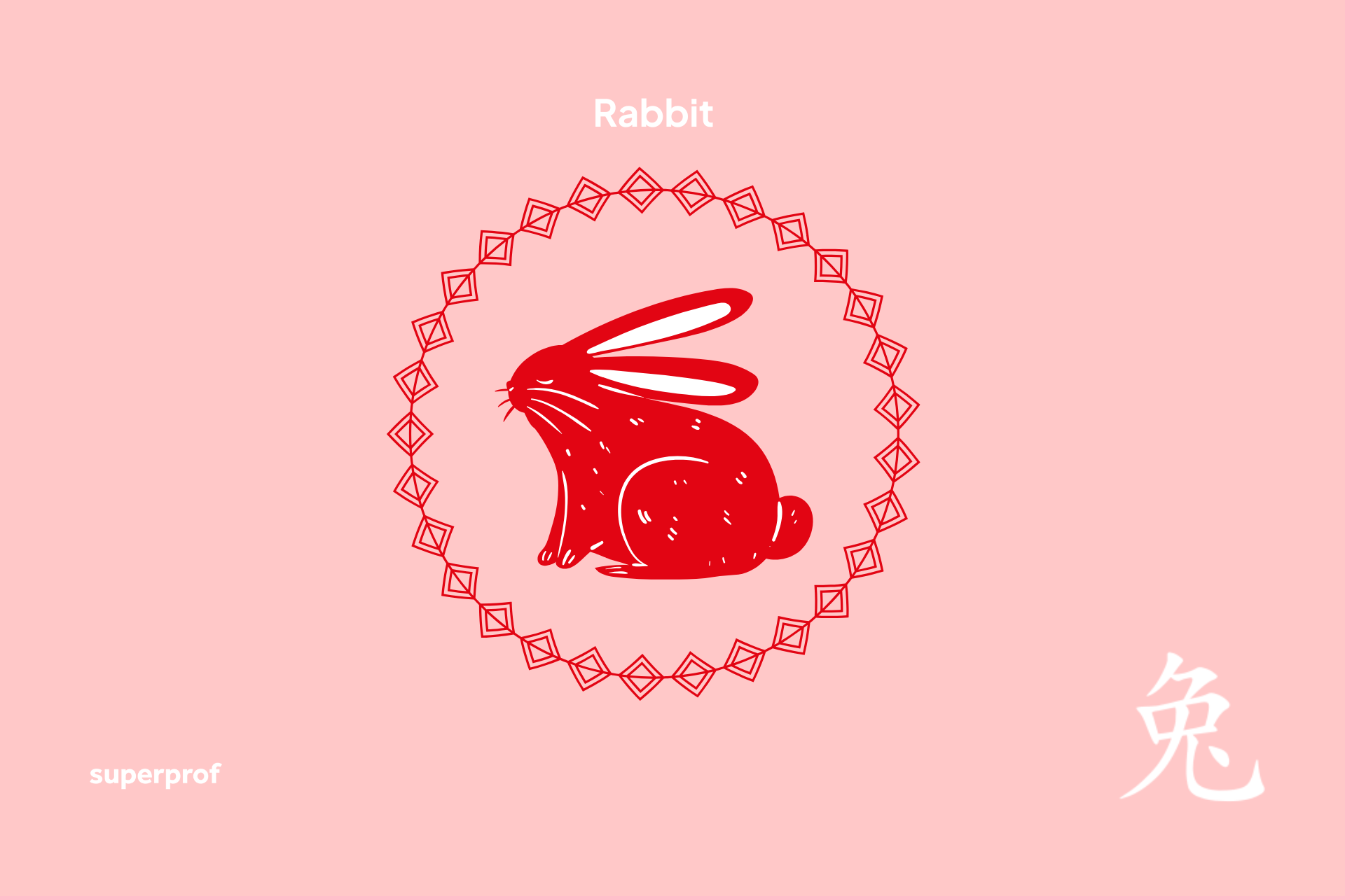 Superprof rabbit graphic