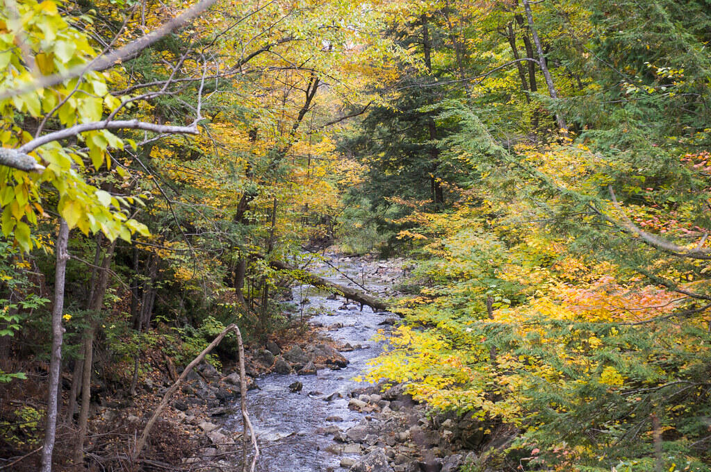 Photograph of Gatineau Park in autumn showing the change of season.