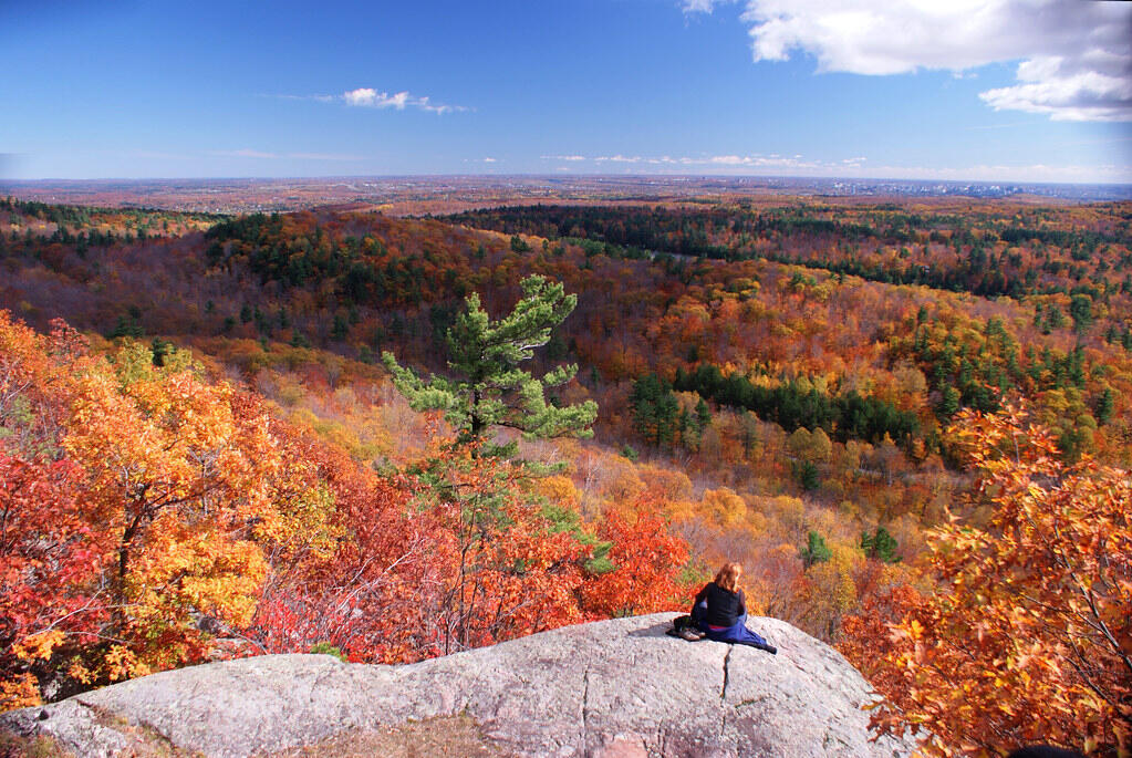 Photograph of King Mountain, the highest point in Gatineau Park, showing a person sitting and enjoying the view.