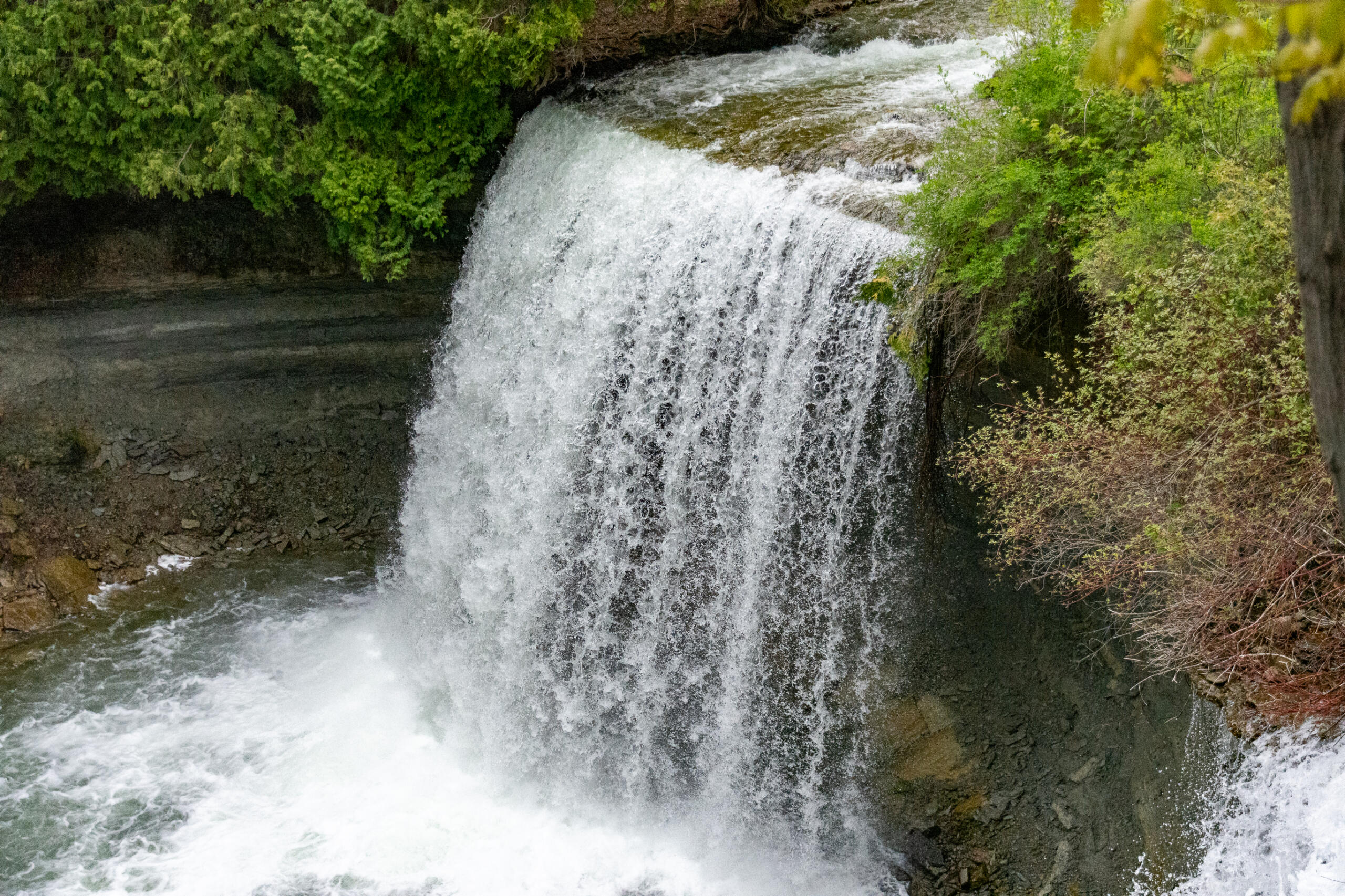 The photograph shows a large waterfall in a green forest on Manitoulin Island in Canada.