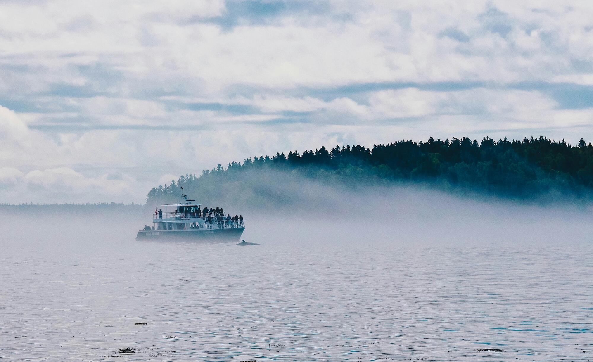 A ferry boat glides through the water, surrounded by a thick layer of fog in the background.