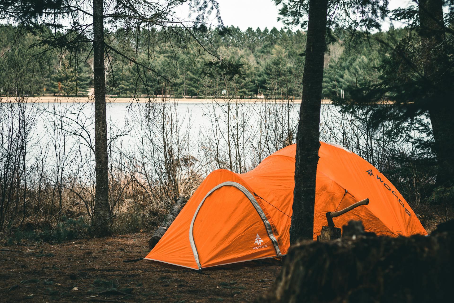 An orange tent nestled among trees by a tranquil lake, surrounded by sparse branches and pine forest in a serene setting.