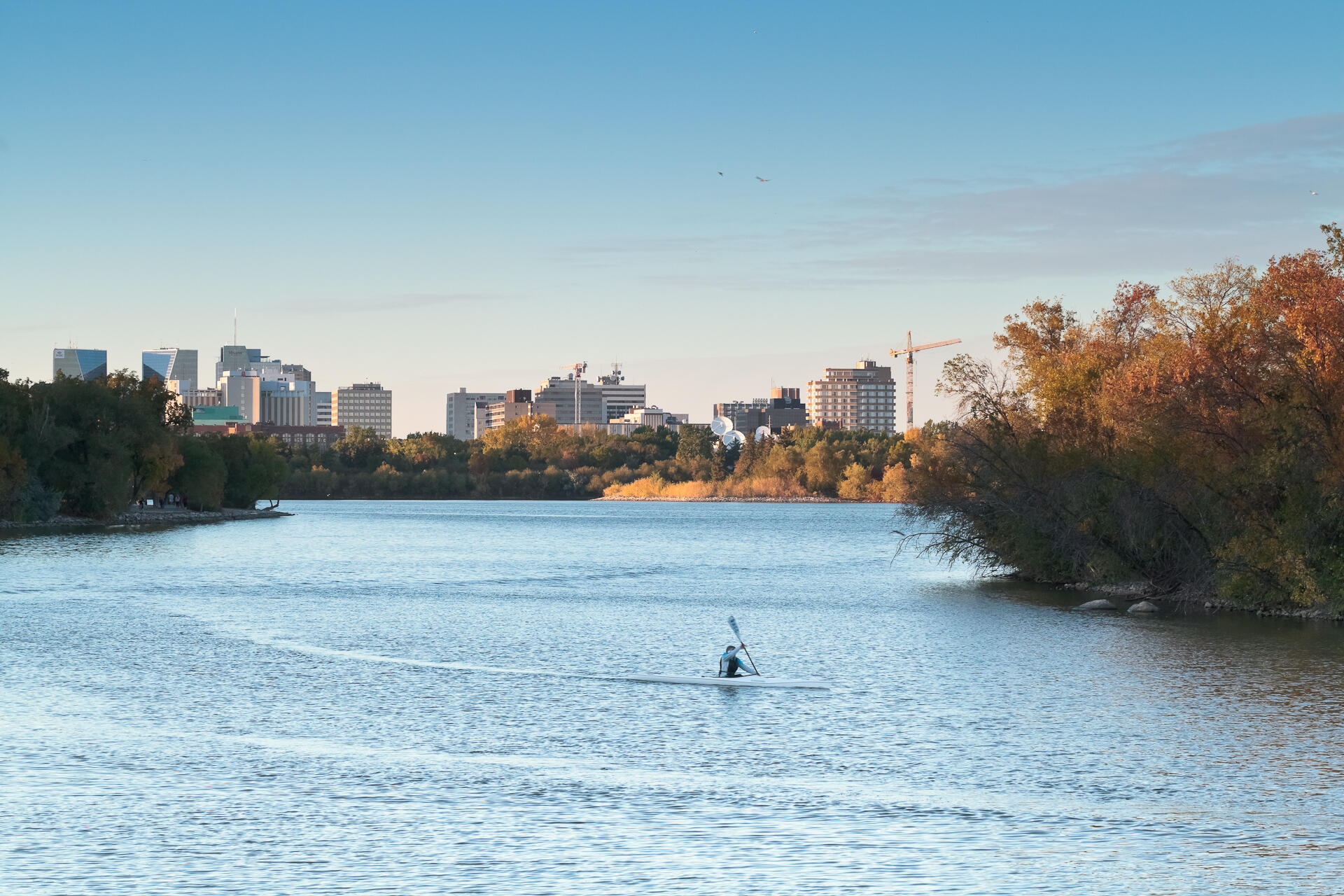 A paddler glides across a calm river with city skyline and autumn foliage in the background under a clear blue sky.