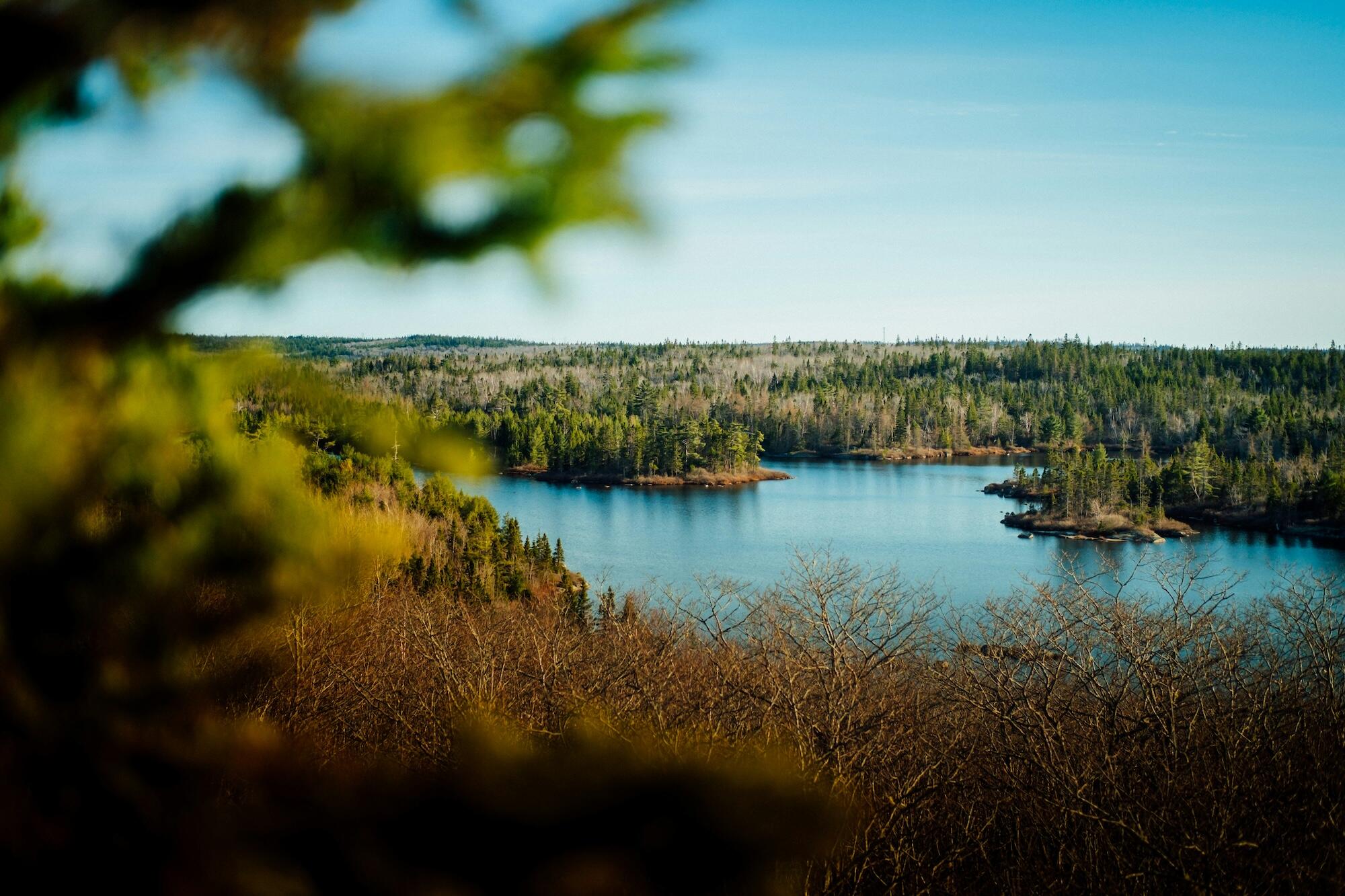 A serene lake bordered by lush green trees under a clear blue sky.