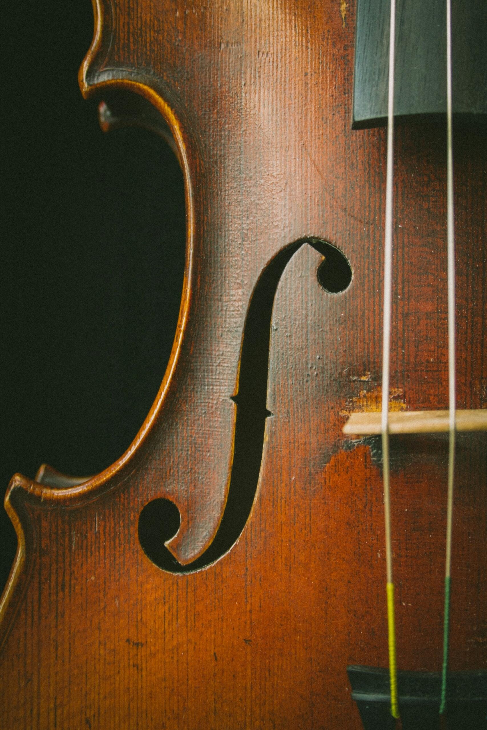 Close-up of a polished wooden violin showing its f-hole, strings, bridge, and warm grain.