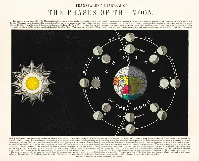 Vintage astronomical diagram titled “The Phases of the Moon,” showing the Sun on the left, the Earth in the center, and the Moon’s orbit around Earth with illustrated lunar phases arranged in a circular path against a dark background.