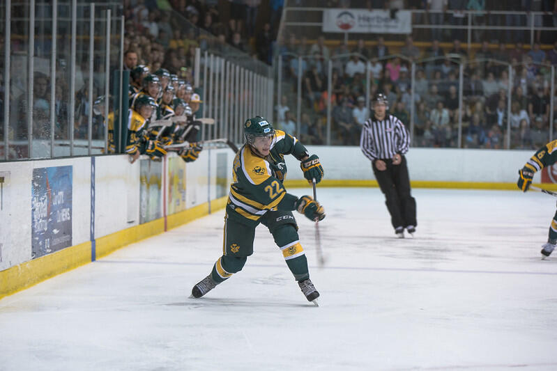 A hockey player in a green and yellow uniform prepares to shoot the puck during a game, with spectators and a referee visible in the background.