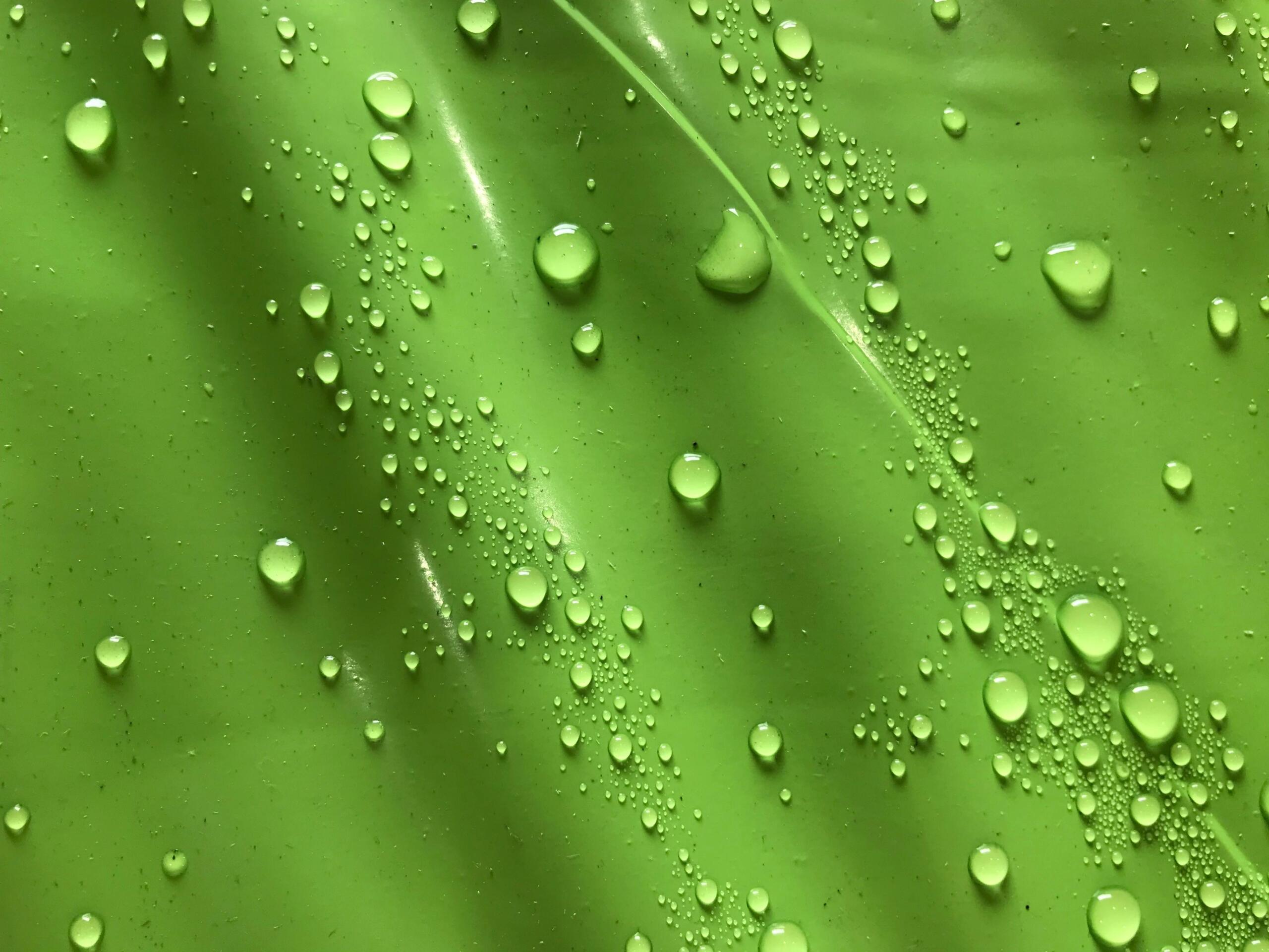 Close-up of water droplets on a smooth surface, illustrating the movement and distribution of water similar to osmosis.