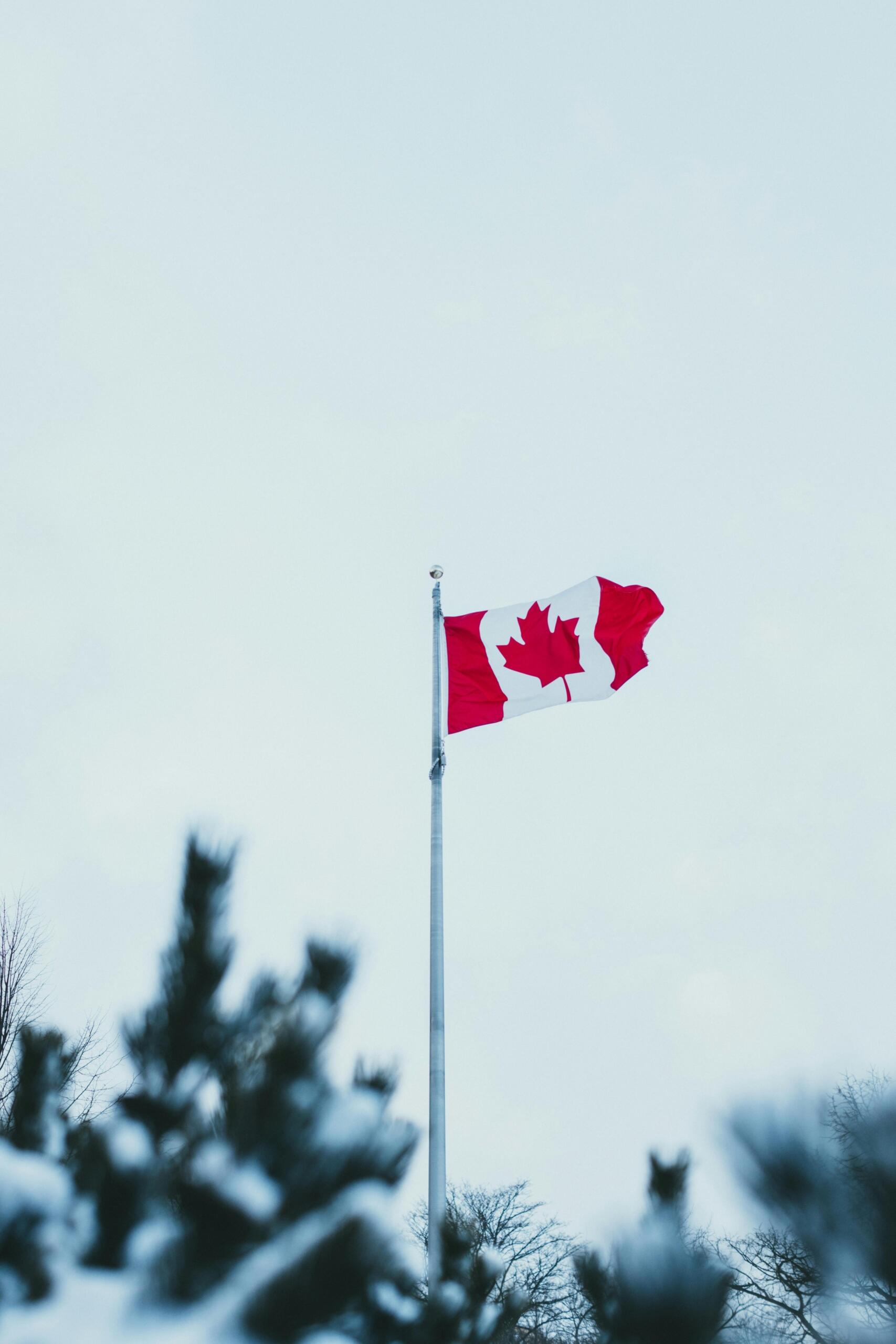 A Canadian flag waves proudly in the wind against a bright blue sky. The red and white fabric billows outward, with the iconic maple leaf clearly visible at the centre as the flag catches a strong breeze.