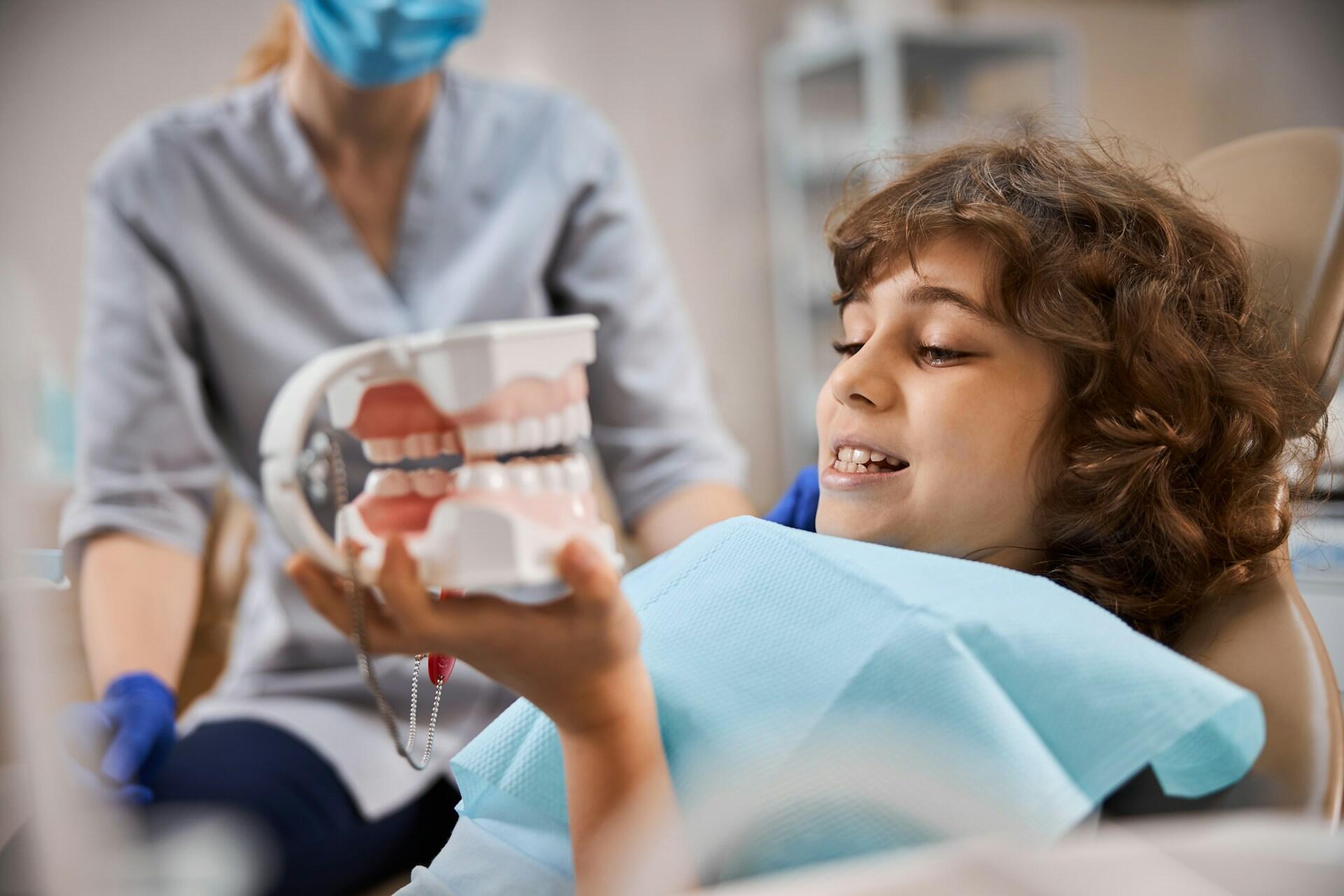 a child dentist patient holding a model of teeth and learning about oral health