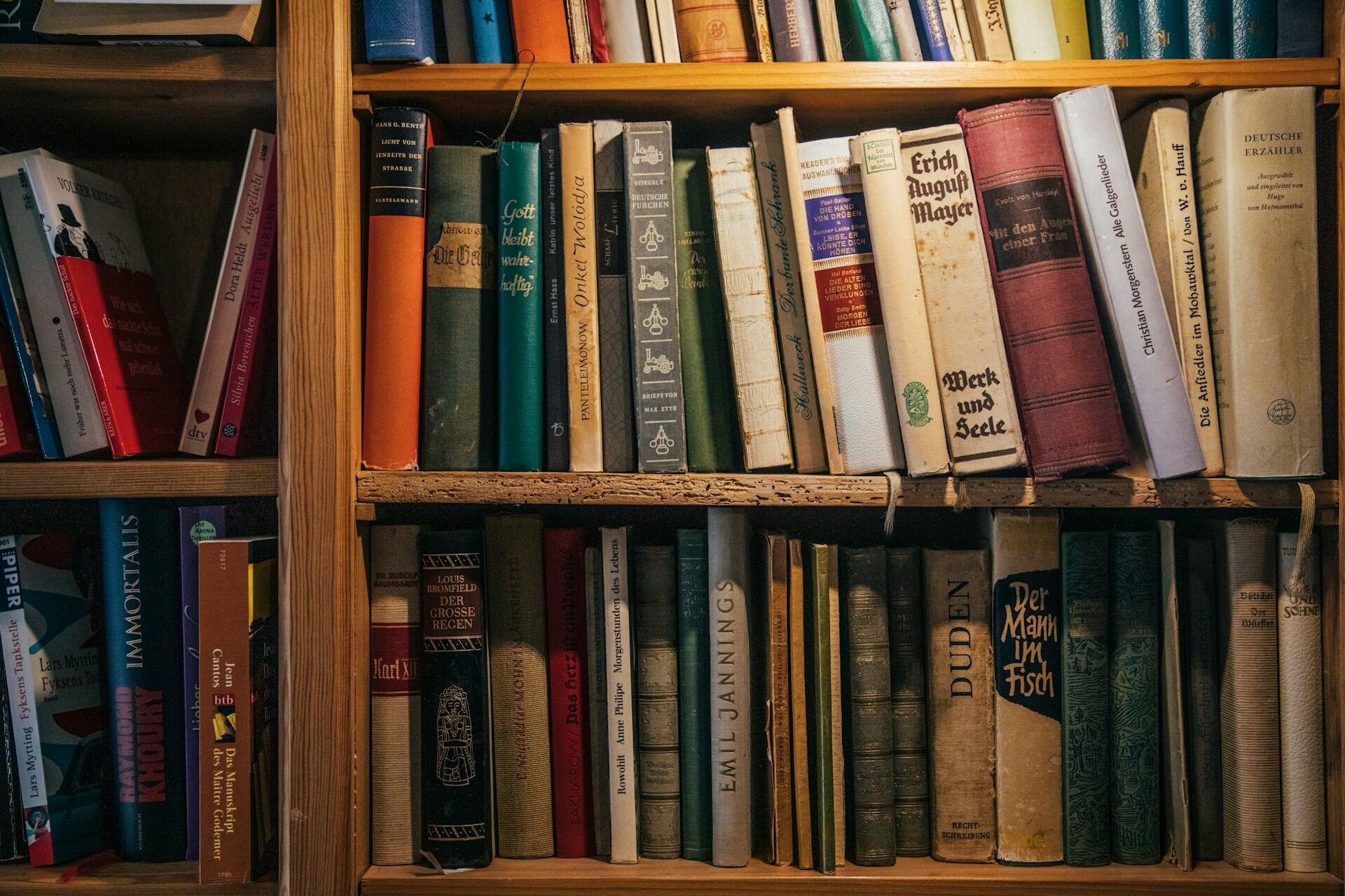 Bookshelf filled with various vintage and modern books, many with German titles.