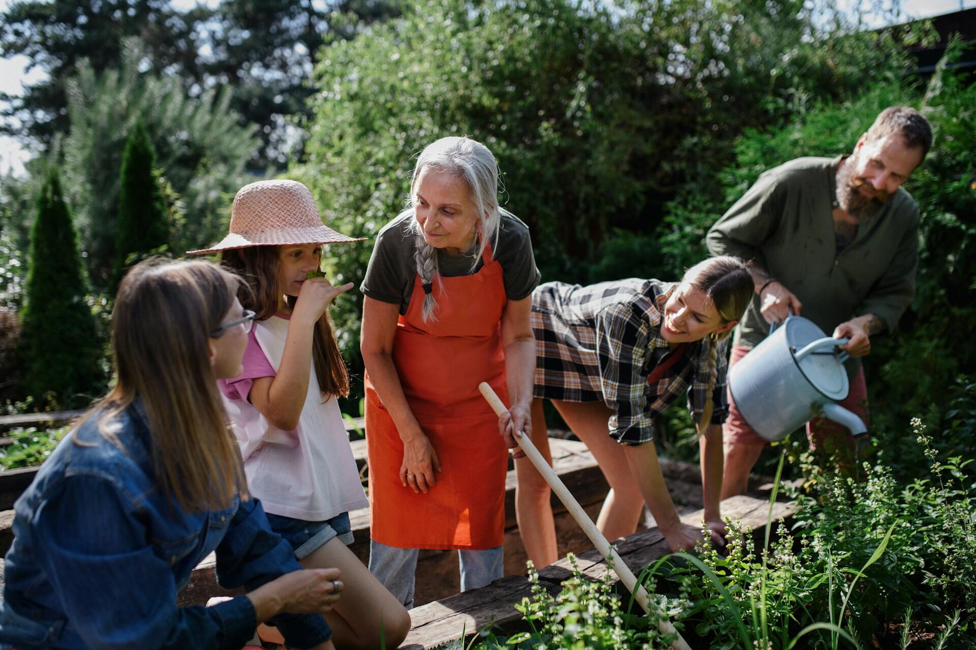 community garden with adults teaching children about plants