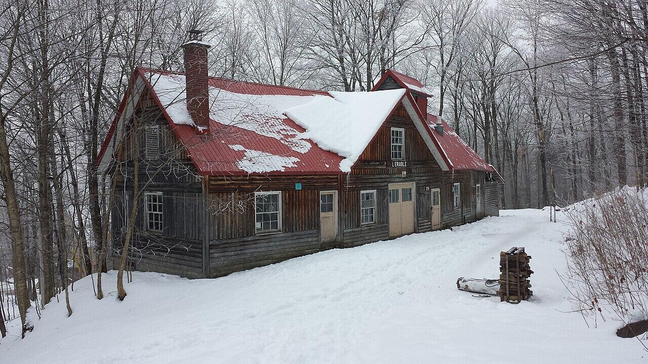 Snow-covered wooden cabin with a red roof in a leafless forest during winter, with stacked firewood nearby.