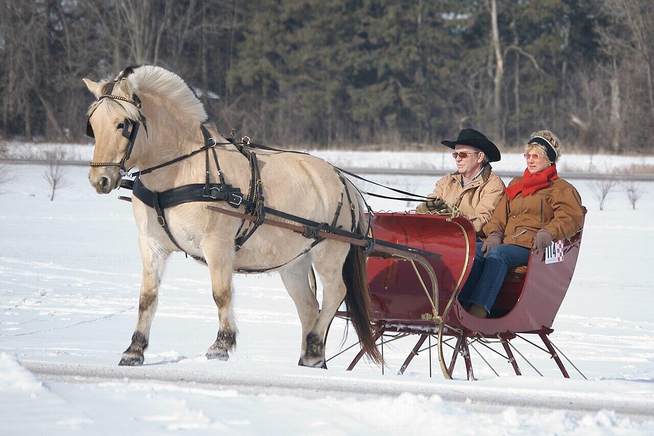 Two people dressed warmly ride in a red horse-drawn sleigh on a snowy landscape with trees in the background.