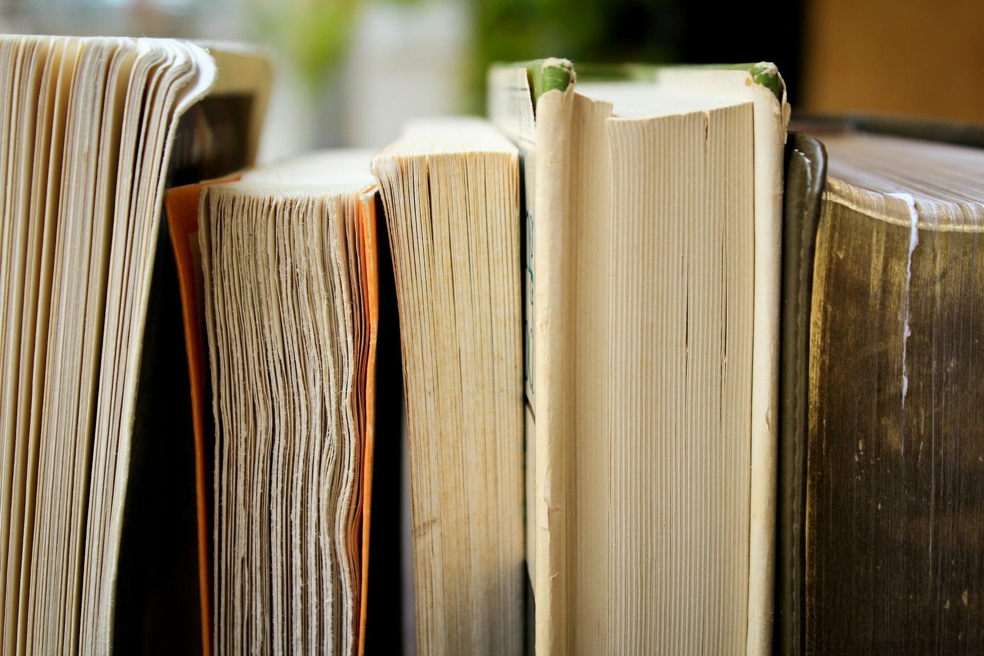 Dictionnaires sur une étagère.