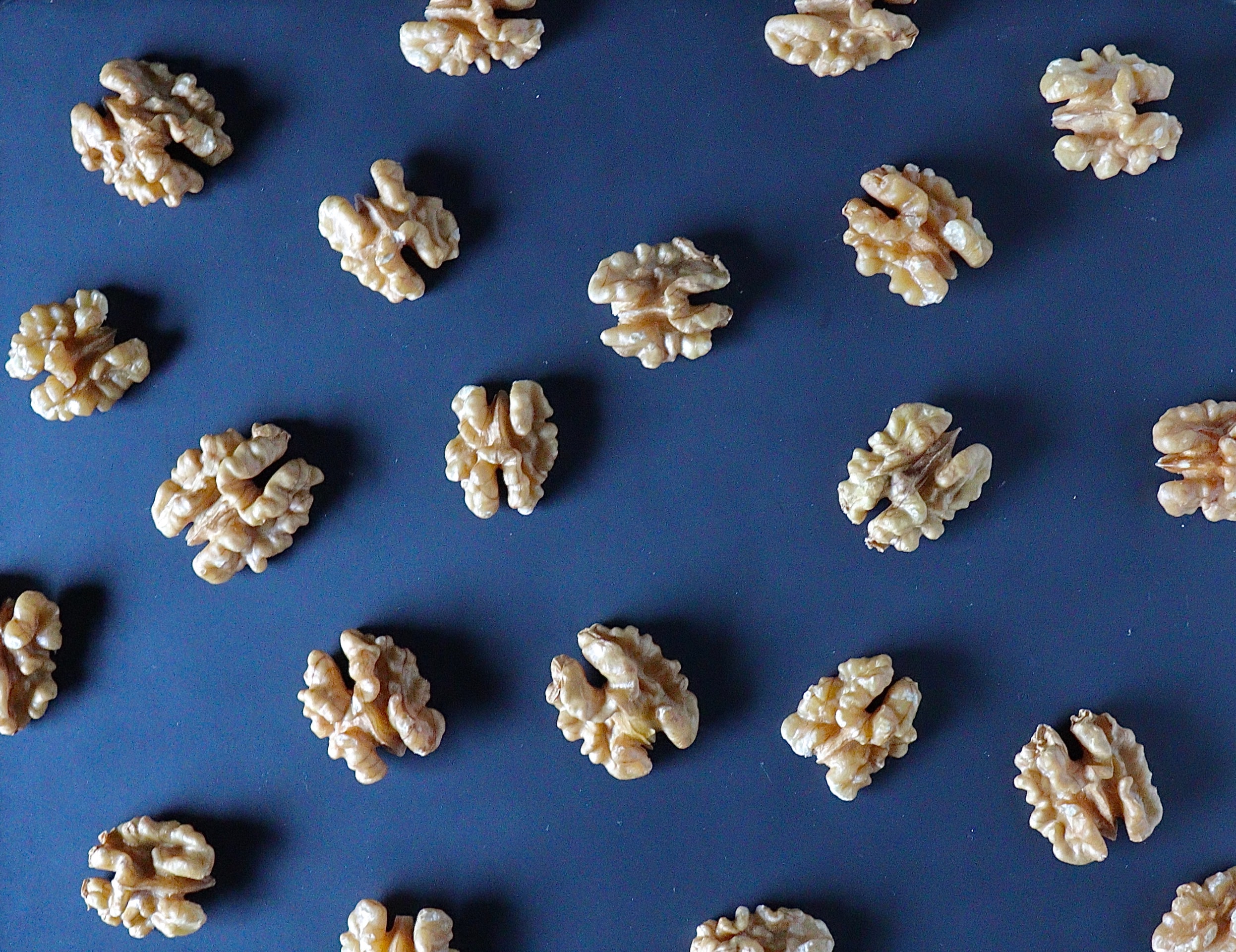 noix de grenoble sur fond bleu marin