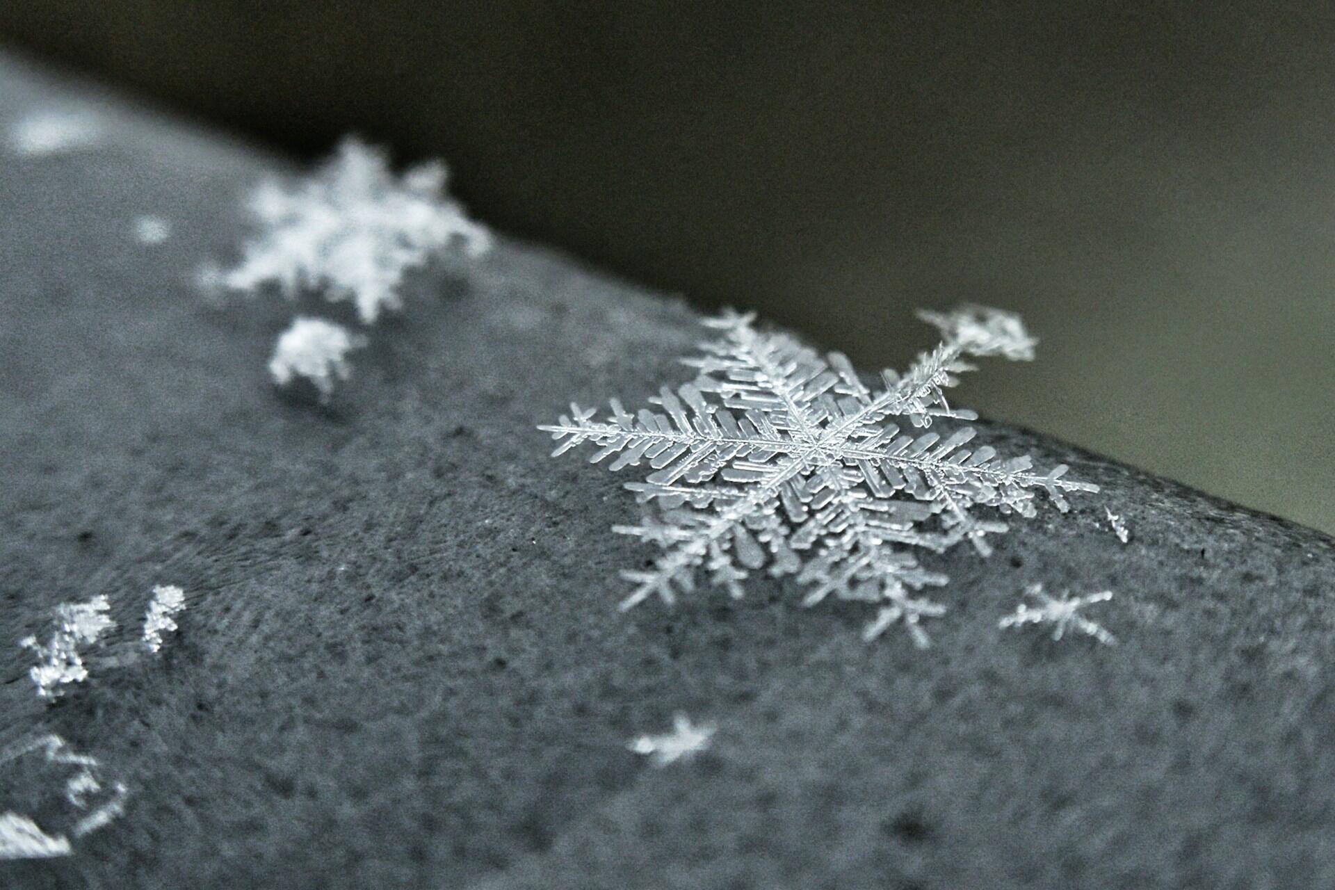 flocons fractals