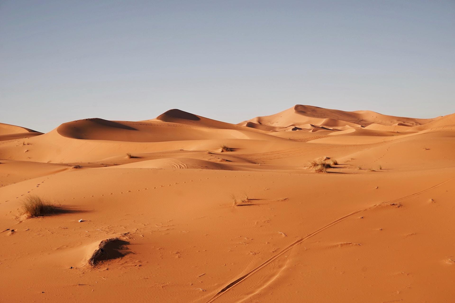 Le désert du Sahara.