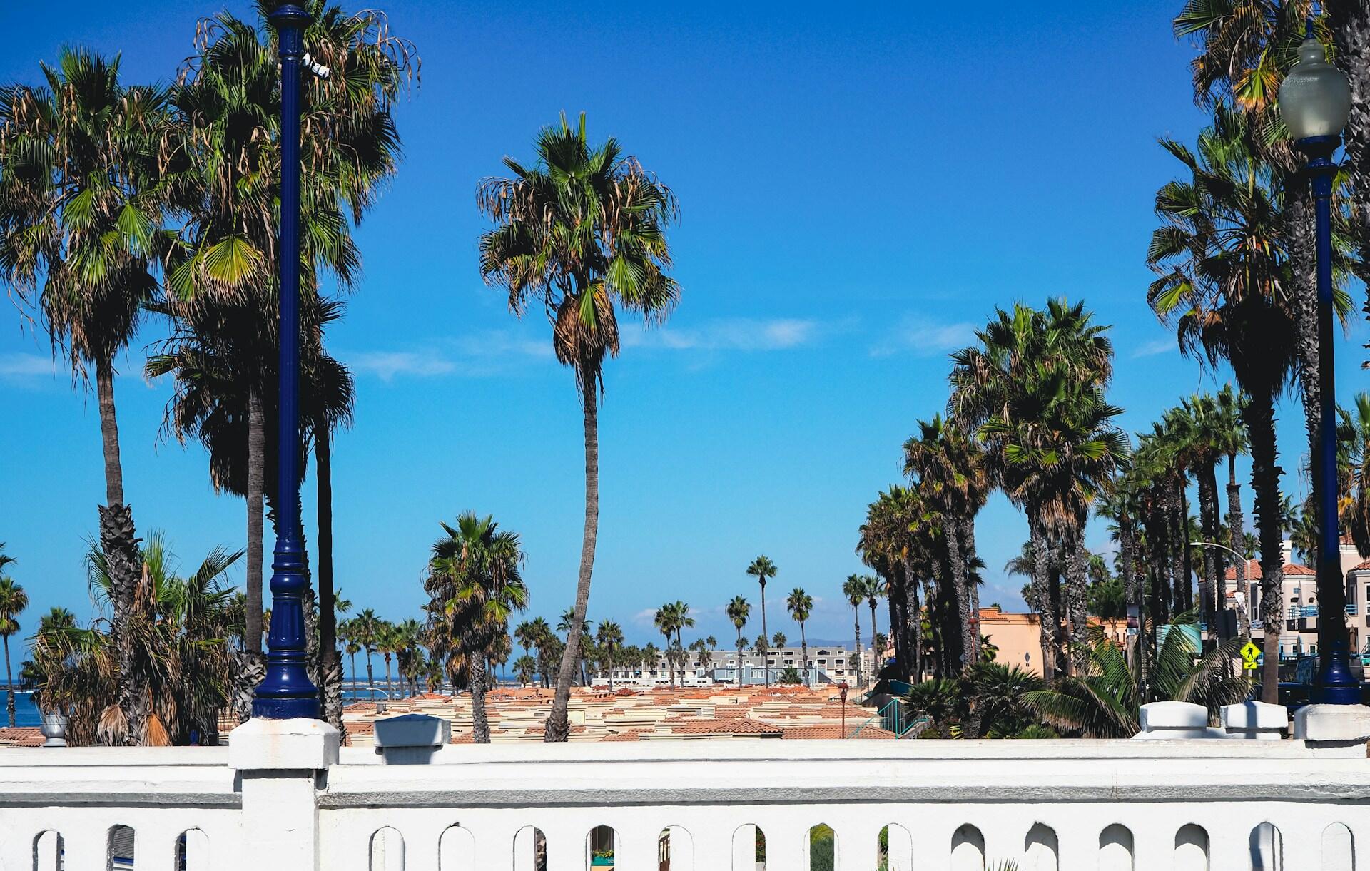 paysage de californie