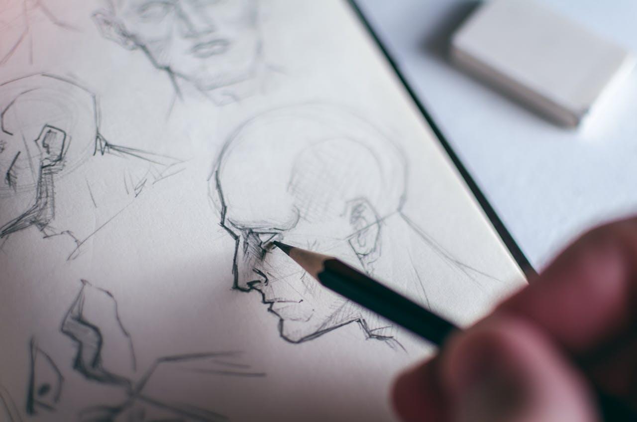 croquis d un crane