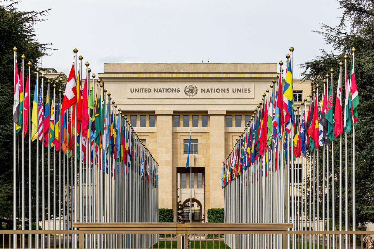 allee menant a l onu encadree des drapeaux