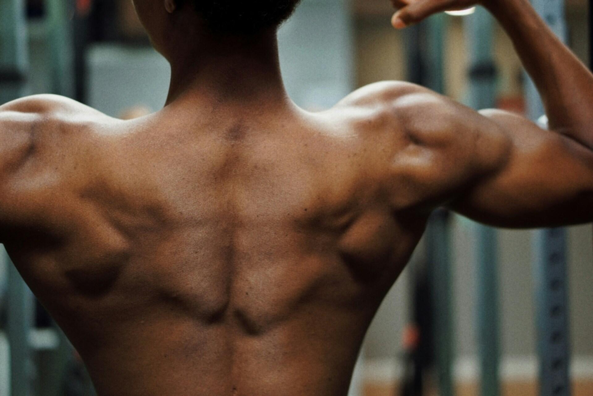 homme torse nu de dos muscle