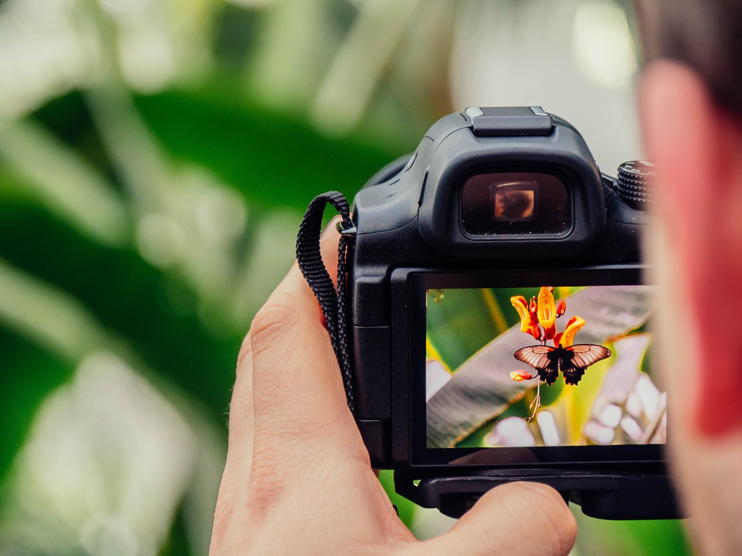 Une école de photographie permet d'apprendre à maîtriser tous les réglages de son appareil photo, numérique ou argentique.