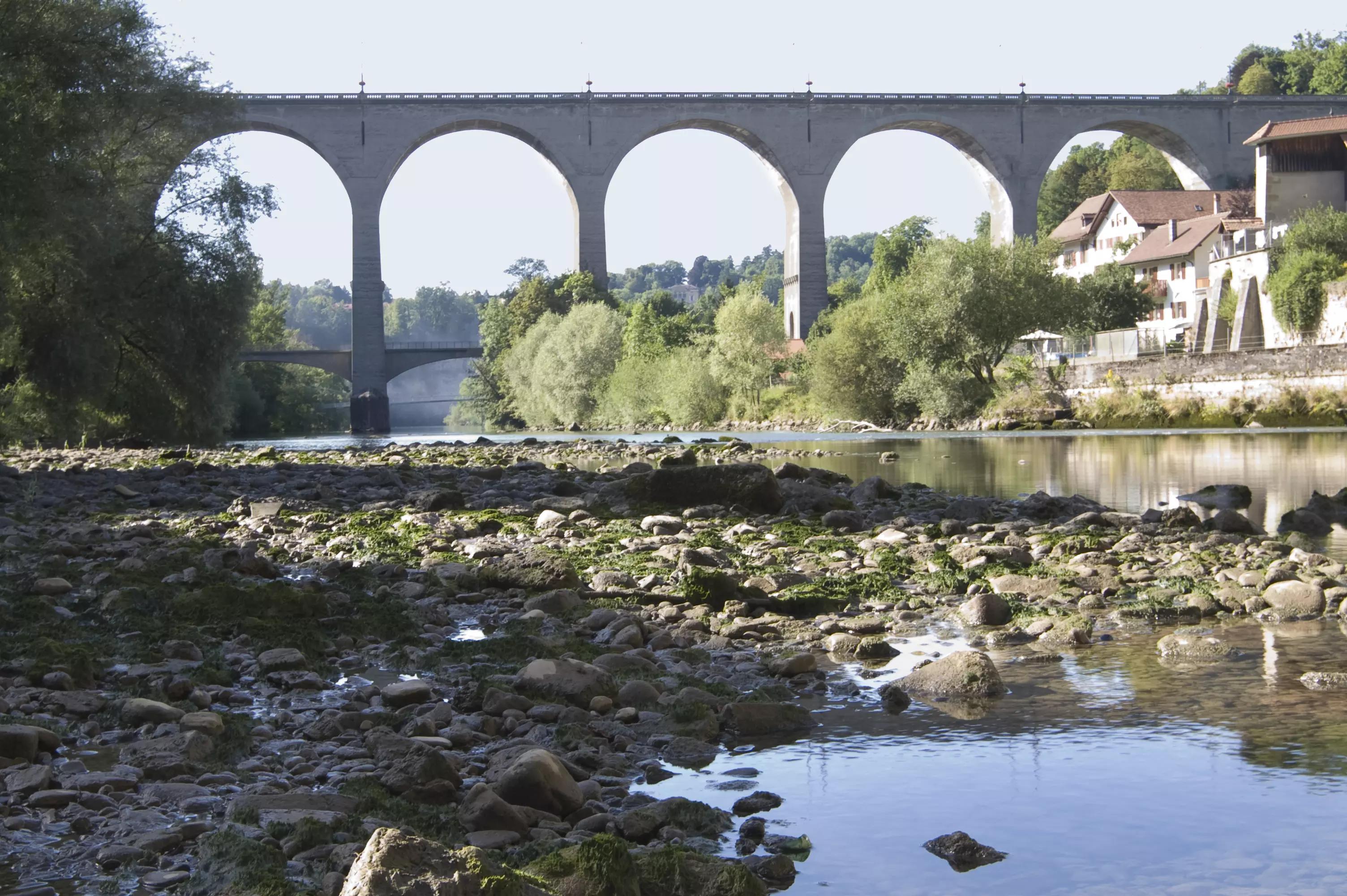 Où prendre une leçon de guitare dans le district de la Sarine ?