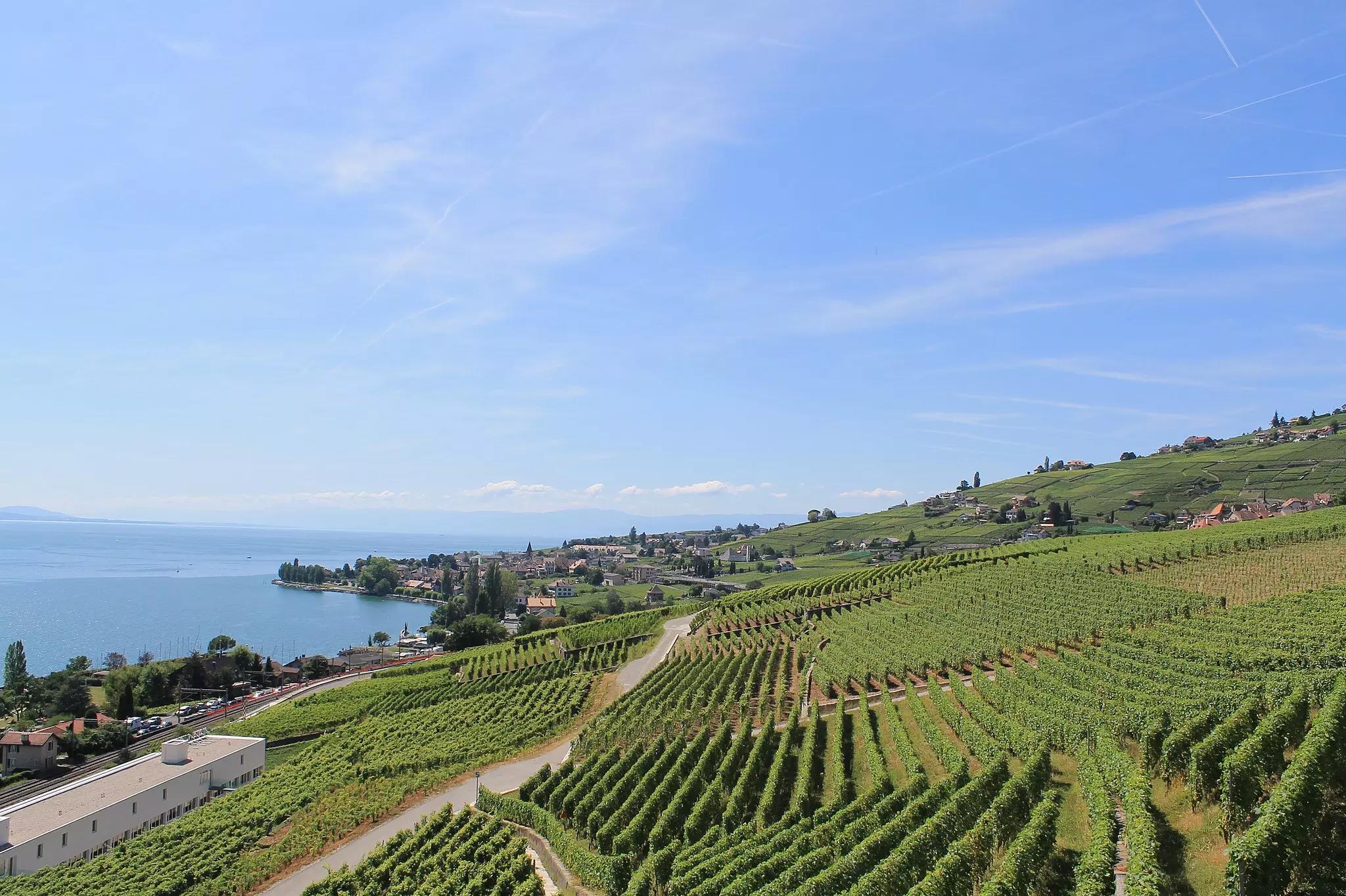 Comment devenir un as de la six cordes en Romandie ?