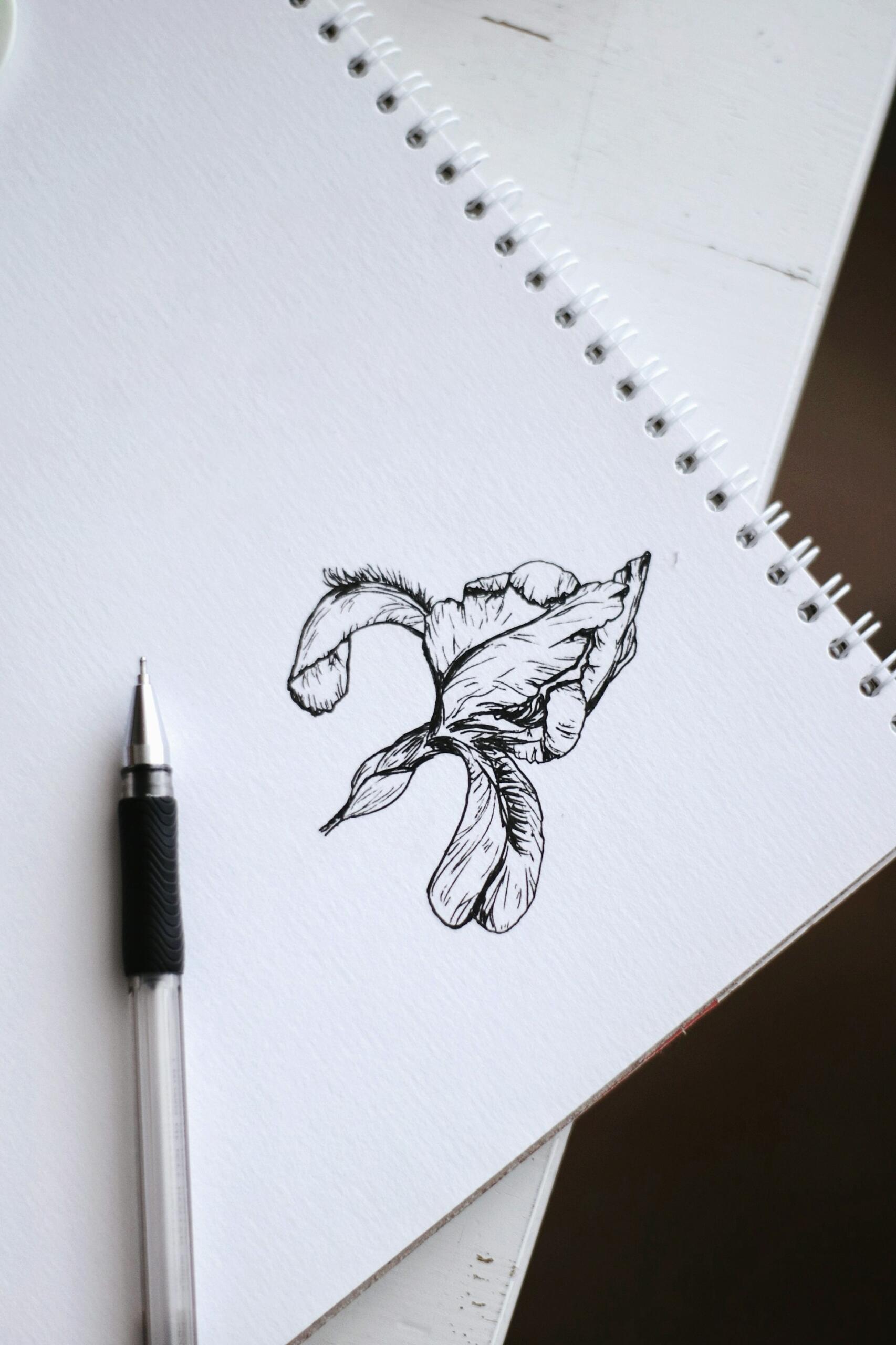 dessin noir blanc