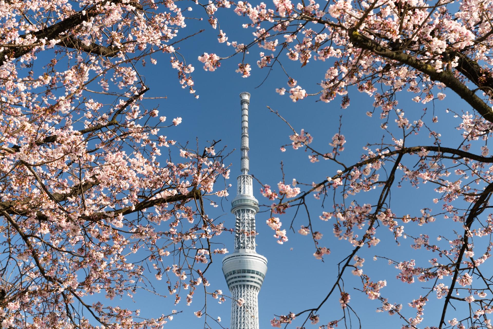 la skytree à Tokyo