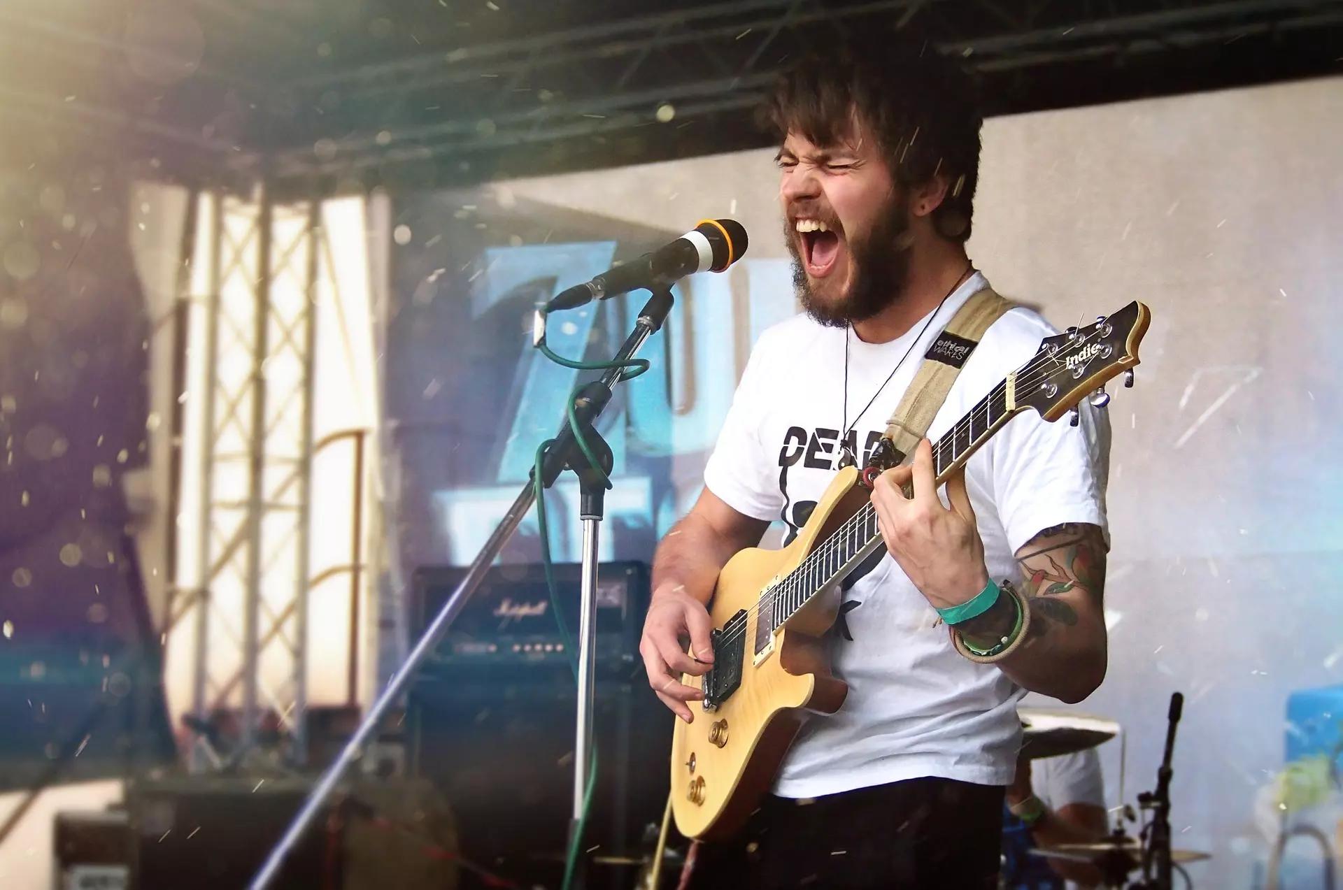 homme qui chante en concert 