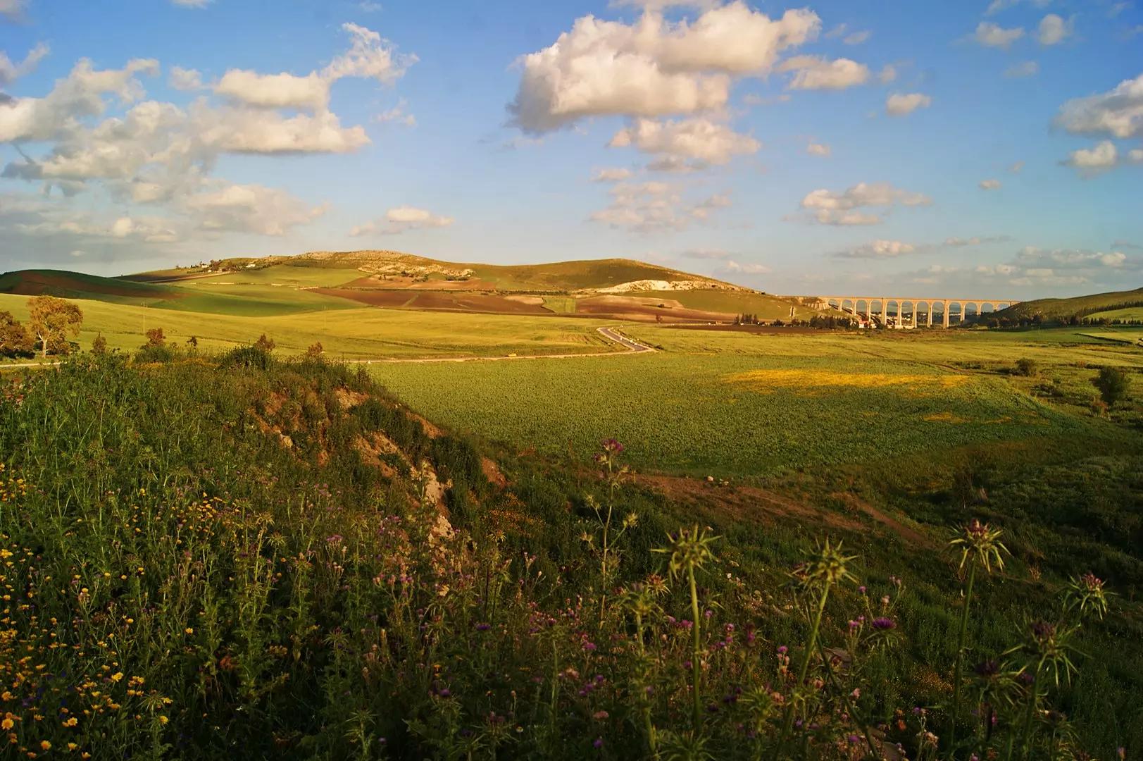 Où suivre une formation en arabe en Suisse romande ?