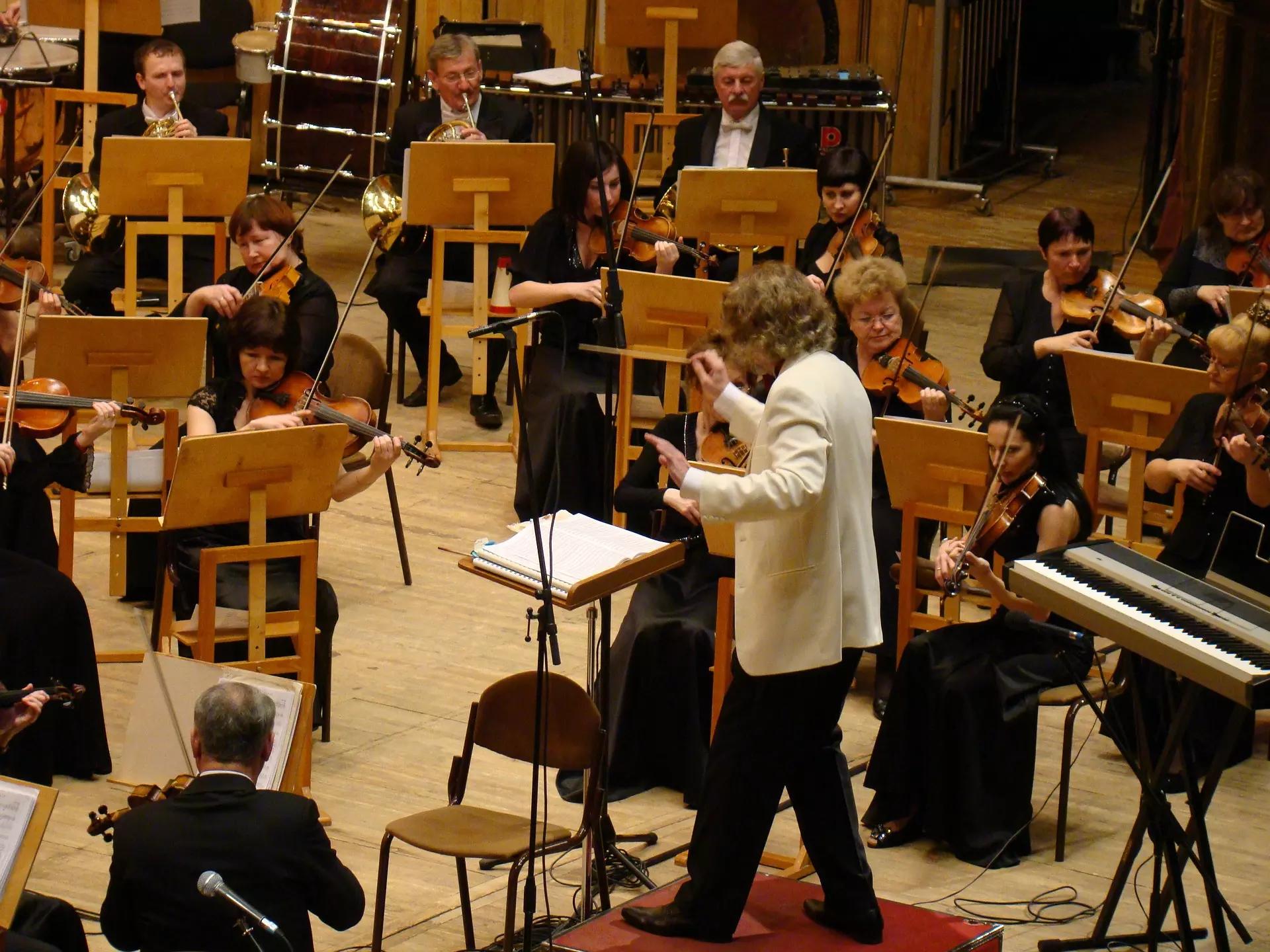Comment suivre une formation en violon en Suisse romande ?
