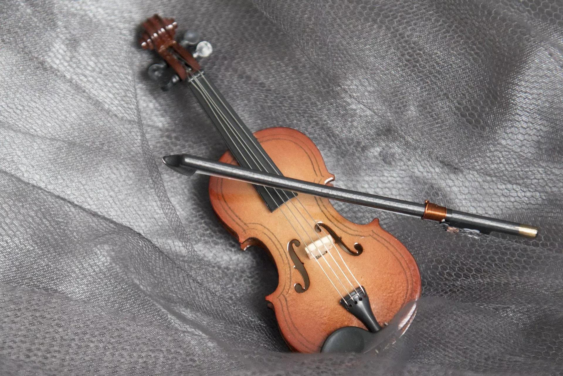 Comment apprendre le violon à Nyon ?