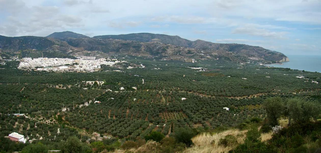 Où prendre des cours d'italien en Suisse romande ?