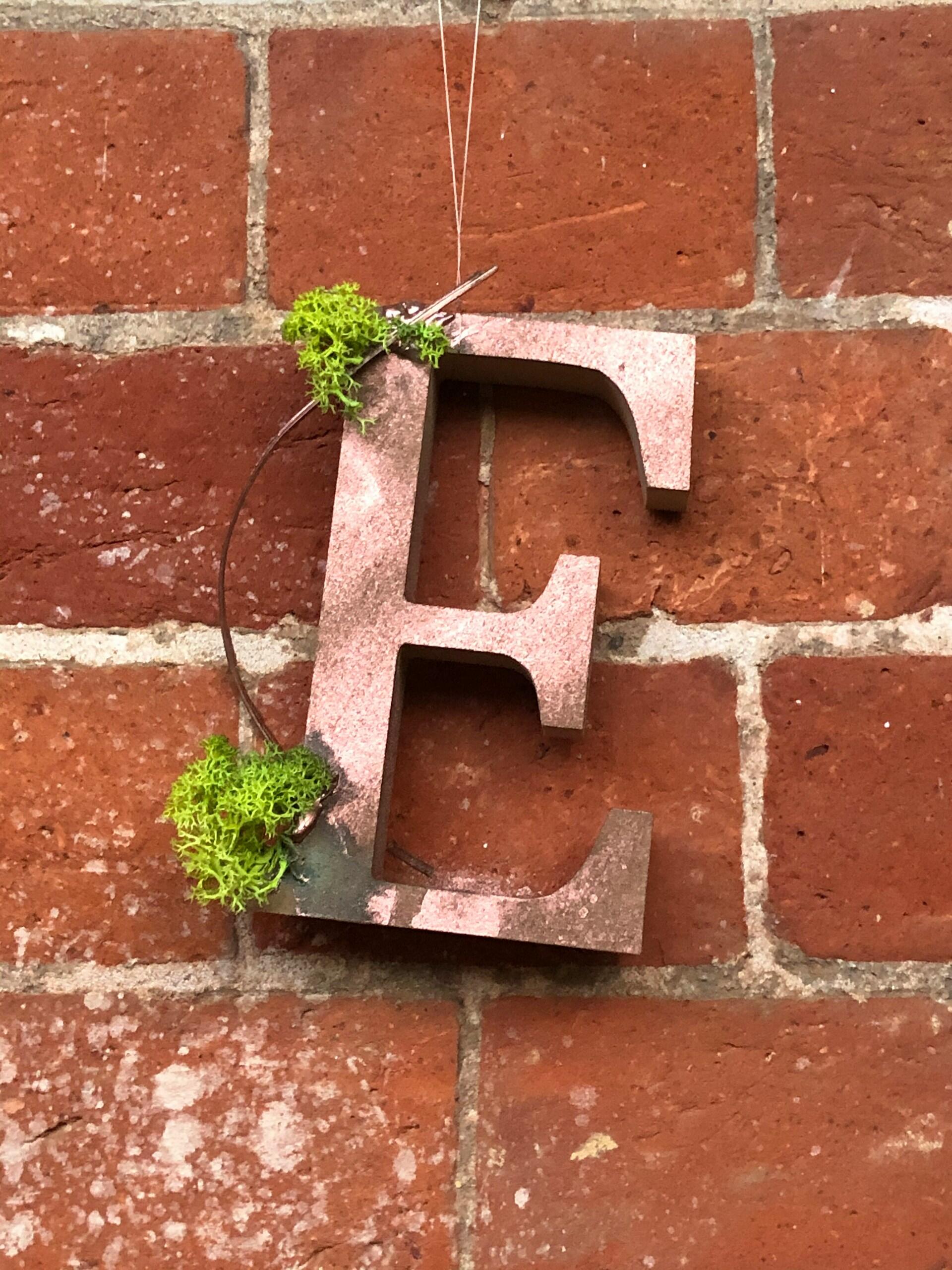 lettre e mur herbe