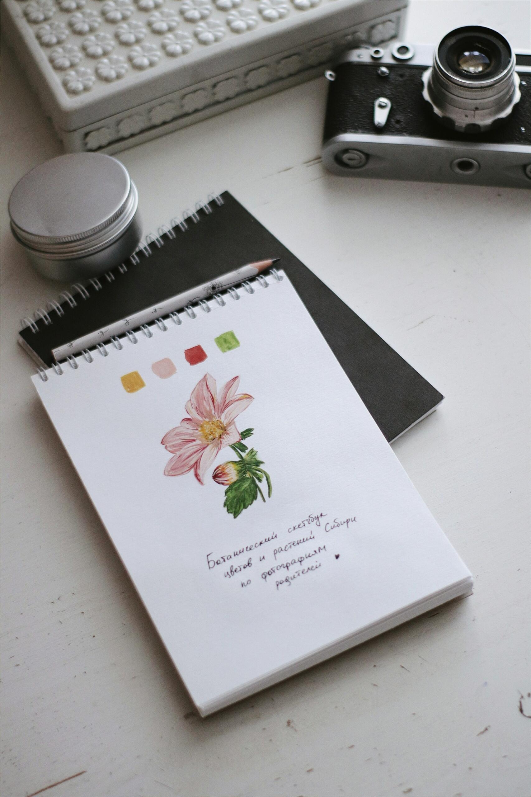 dessin illustration carnet