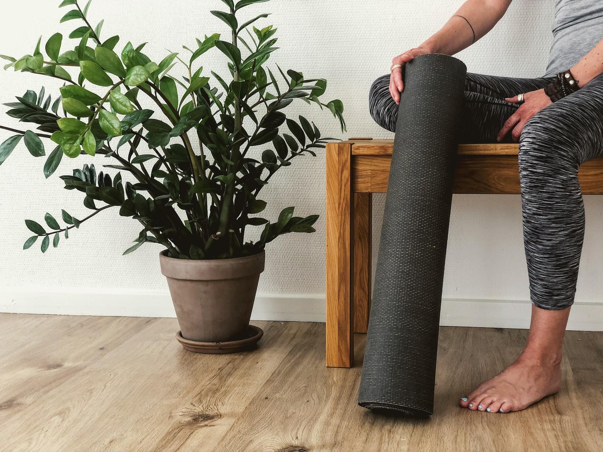 tapis de yoga et une plante