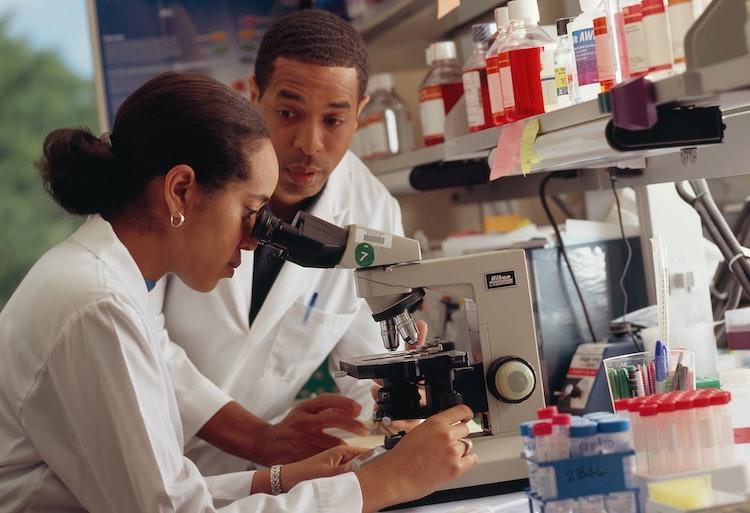 Deux chercheurs autour d'un microscope