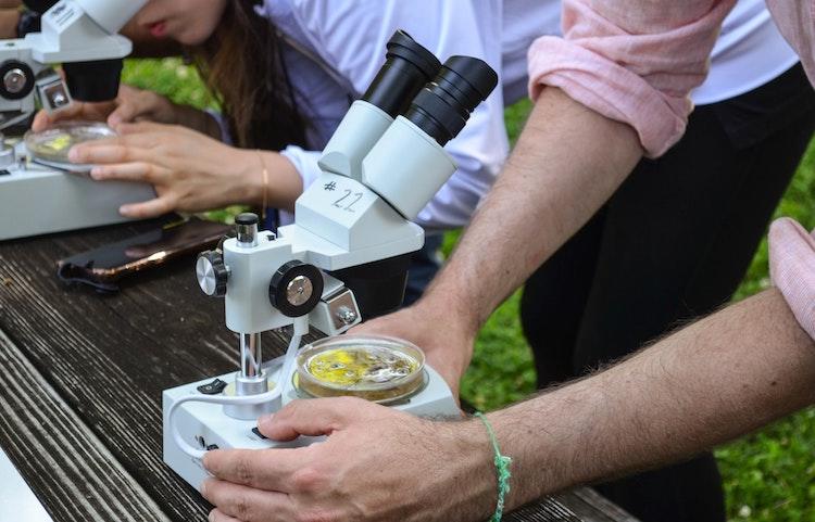 Apprendre à se servir d'un microscope