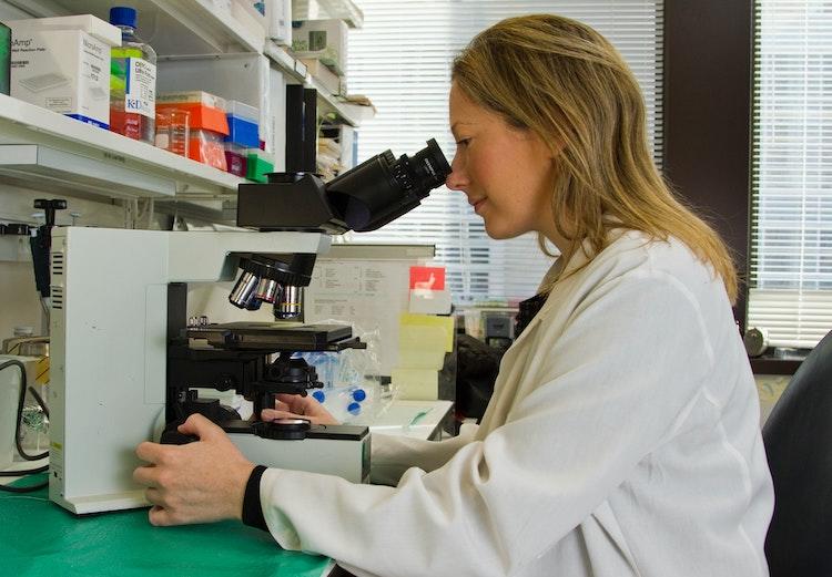 Une femme regarde dans un miscroscope