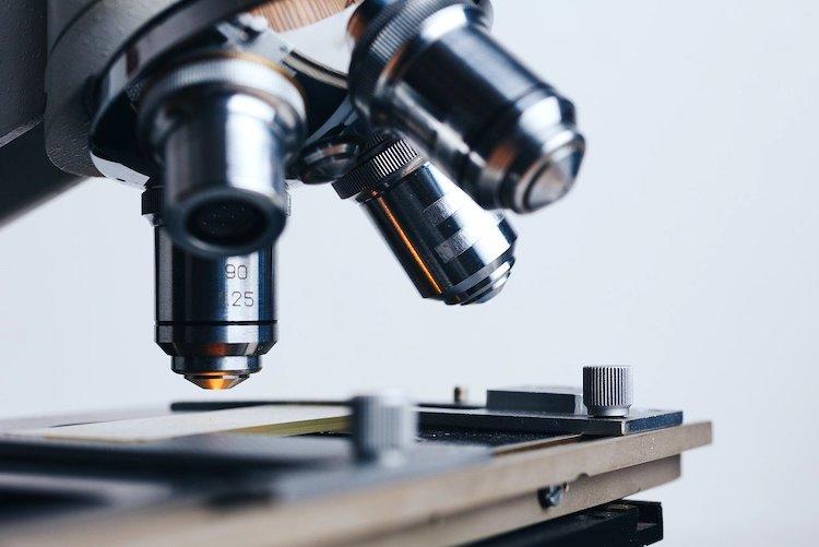 Un microscope en gros plan