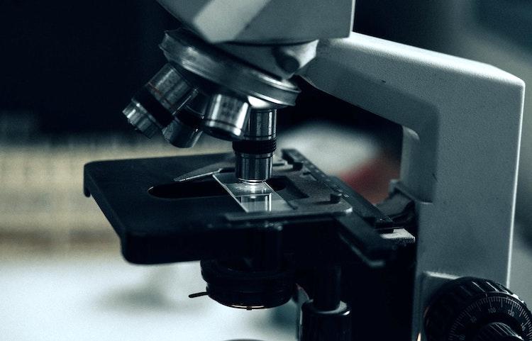Un microscope professionnel et une lamelle