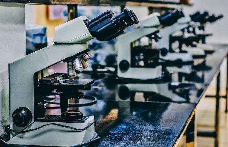 Des microscopes alignés