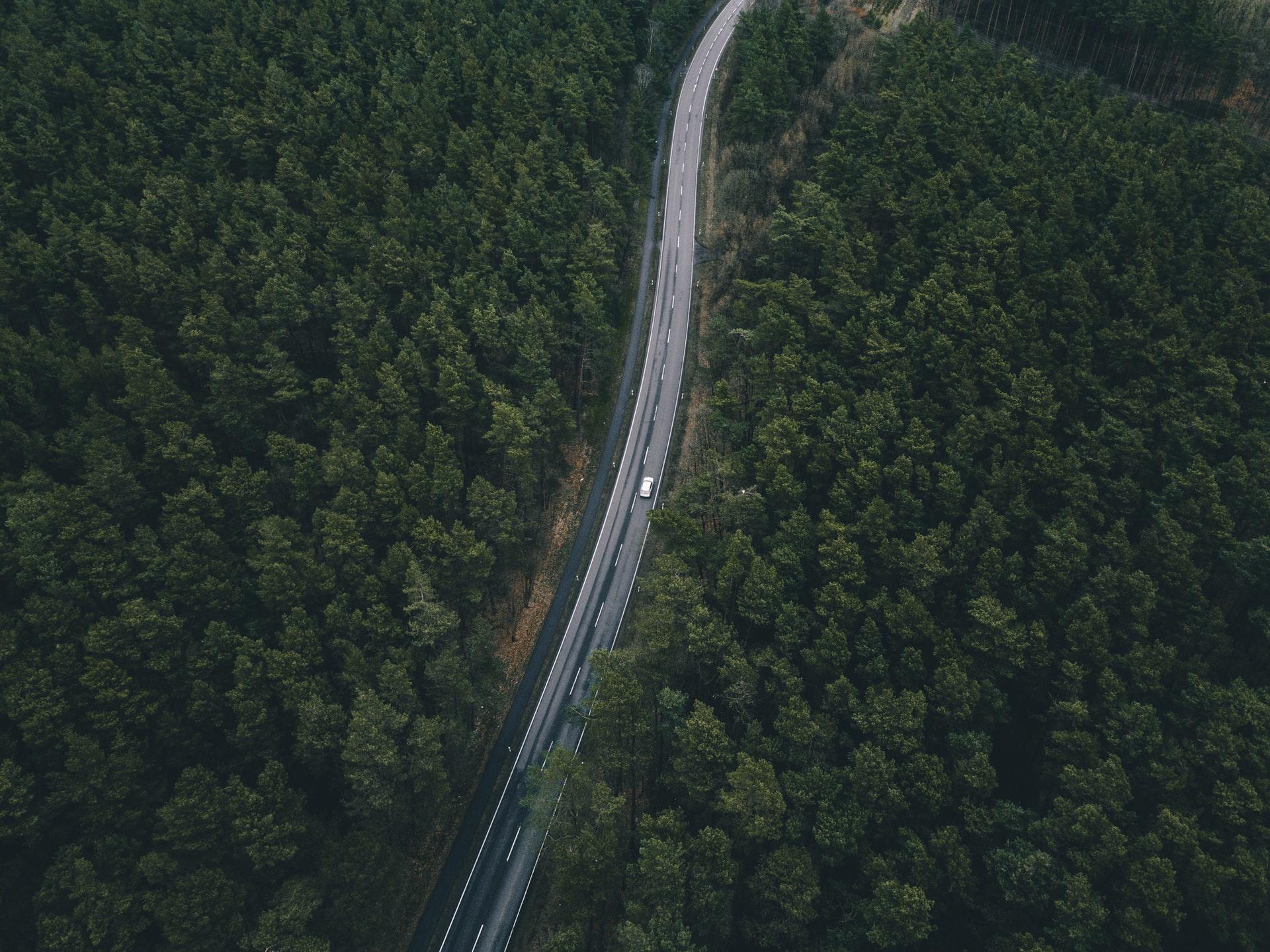 longue route au milieu de la forêt