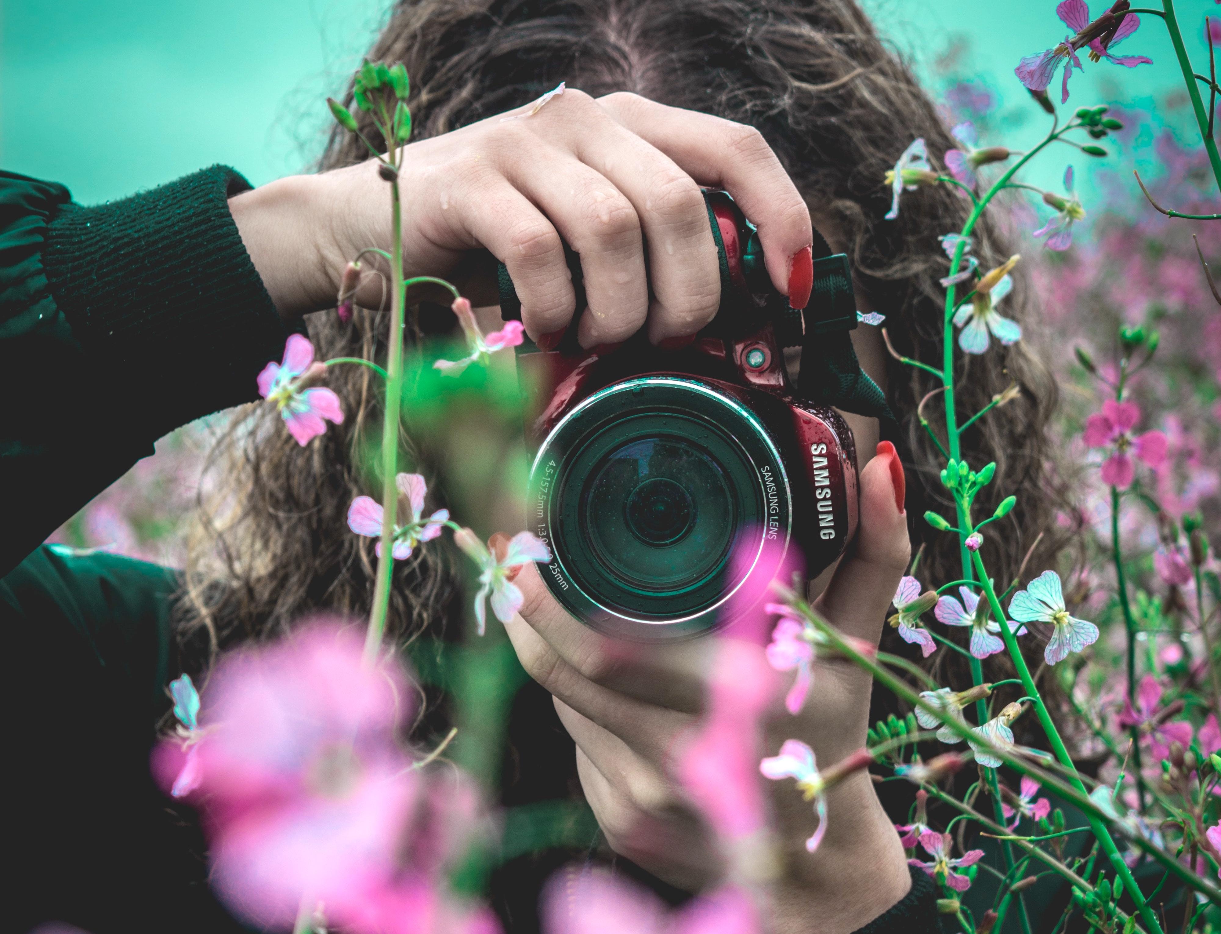 Une photo dans les fleurs